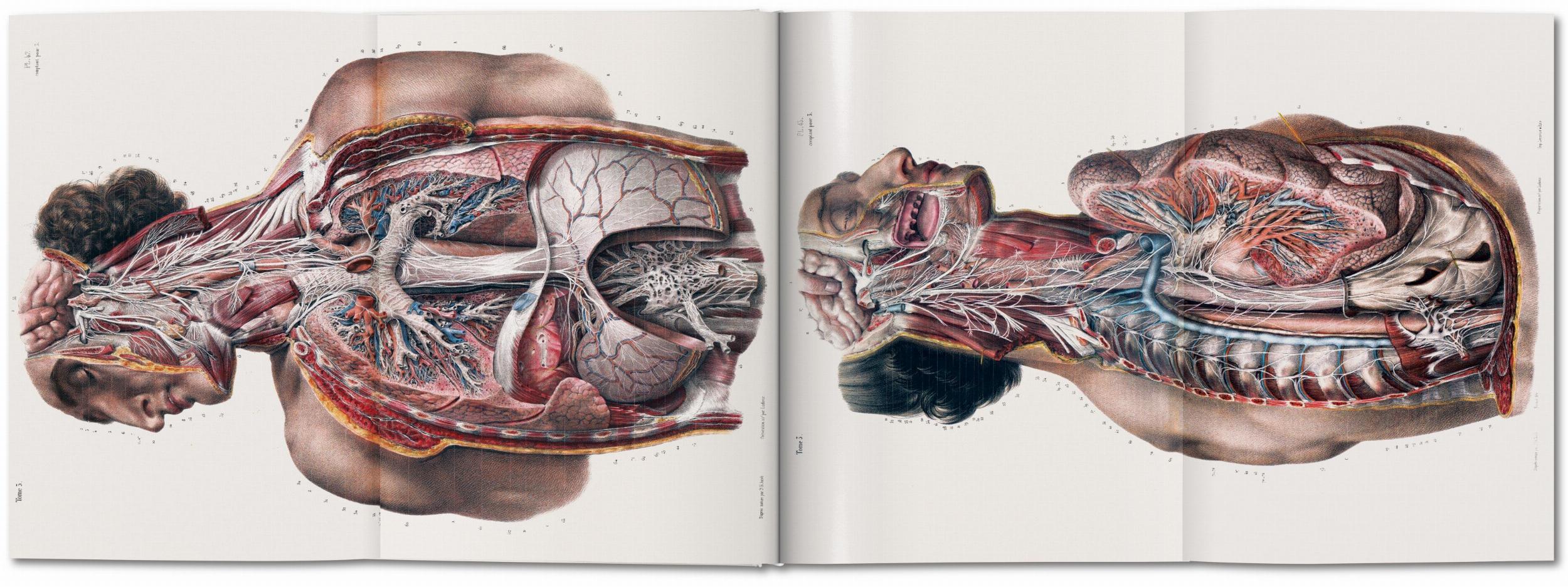 Taschen-Bourgery. Atlas of Human Anatomy and Surgery (German, French, English)-Classics-Black-Deal-Outlet-by-ARCHIVIST