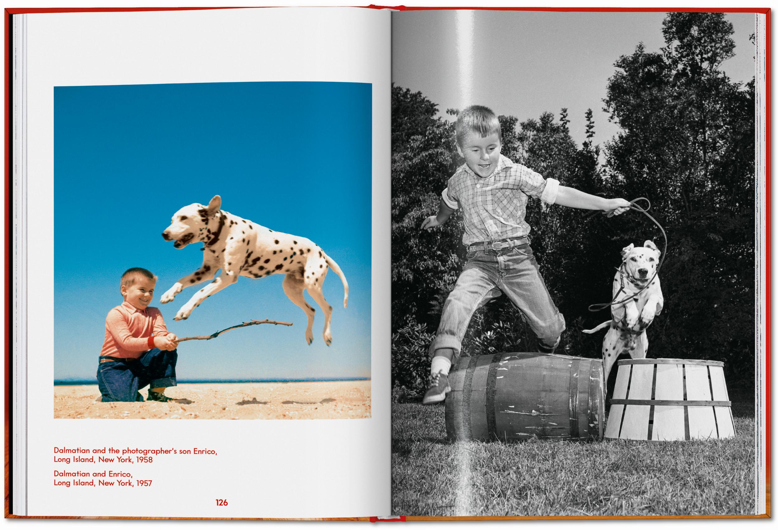 Taschen-Walter Chandoha. Dogs. Photographs 1941–1991 (English)-Photography-Black-Deal-Outlet-by-ARCHIVIST