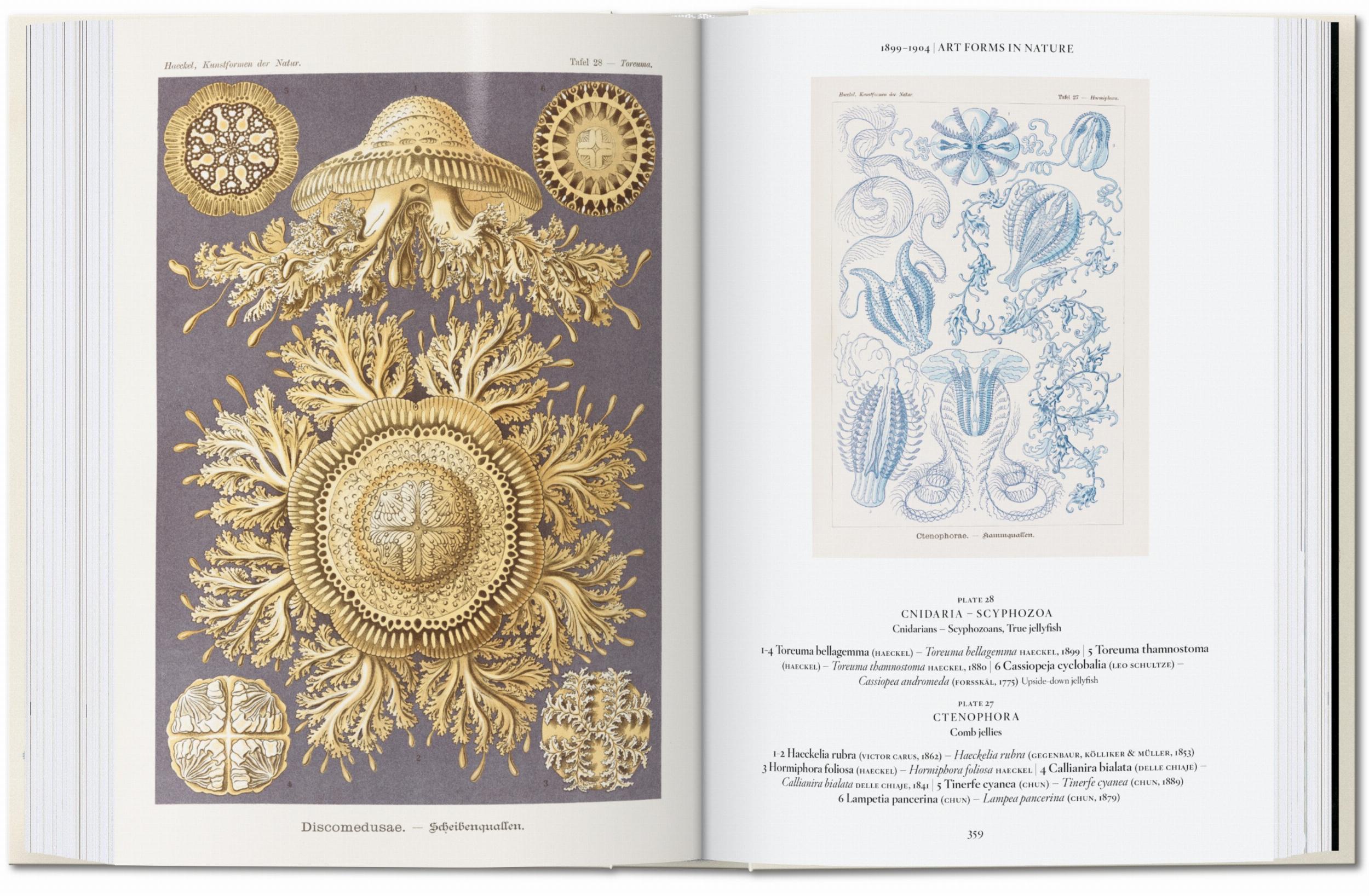 Taschen-The Art and Science of Ernst Haeckel. 45th Ed. (English)-Classics-Black-Deal-Outlet-by-ARCHIVIST