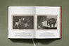 Taschen-Goya. The Complete Prints (Spanish, Italian, Portuguese)-Art-Black-Deal-Outlet-by-ARCHIVIST