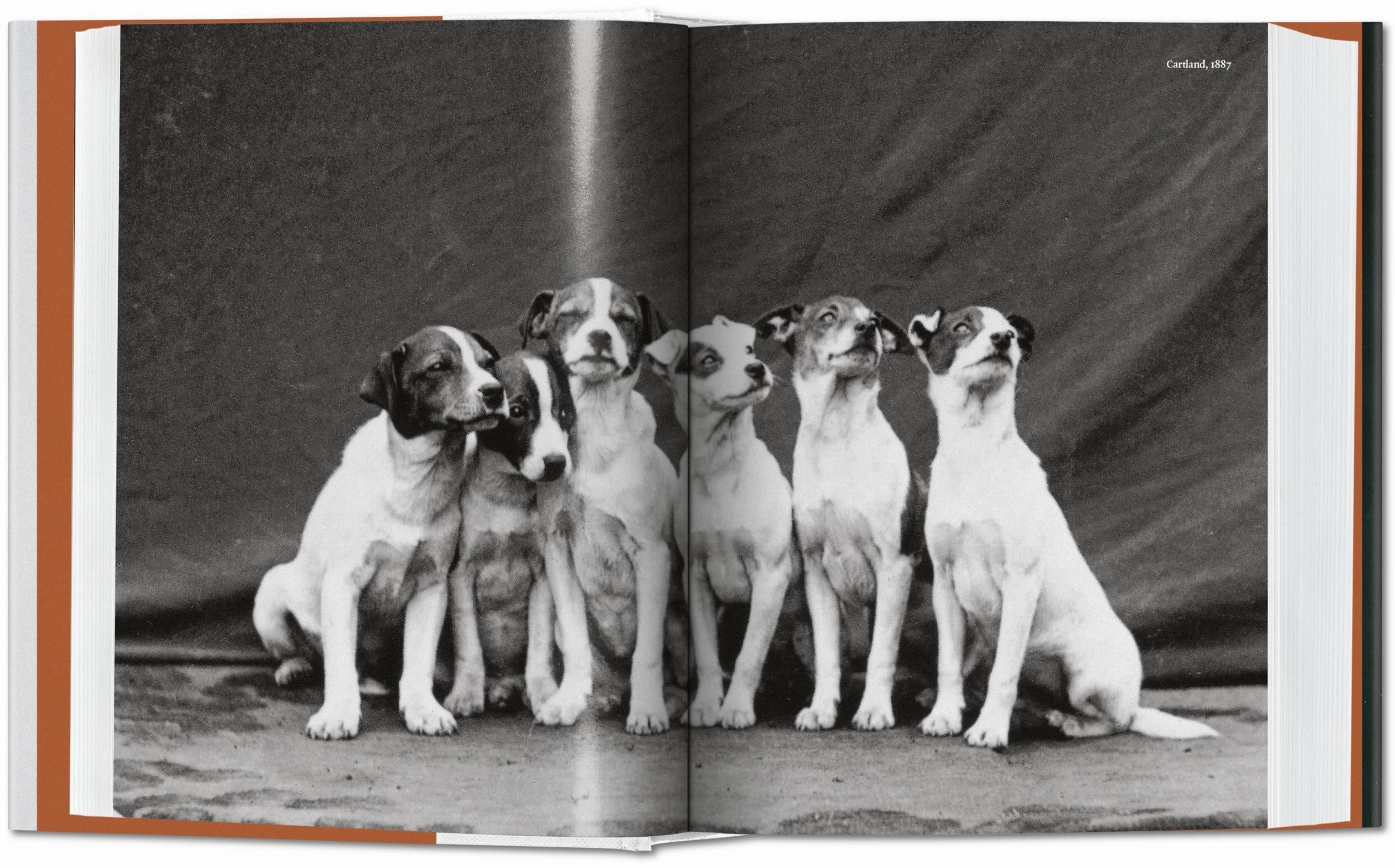 Taschen-The Dog in Photography 1839–Today (German, French, English)-Photography-Black-Deal-Outlet-by-ARCHIVIST