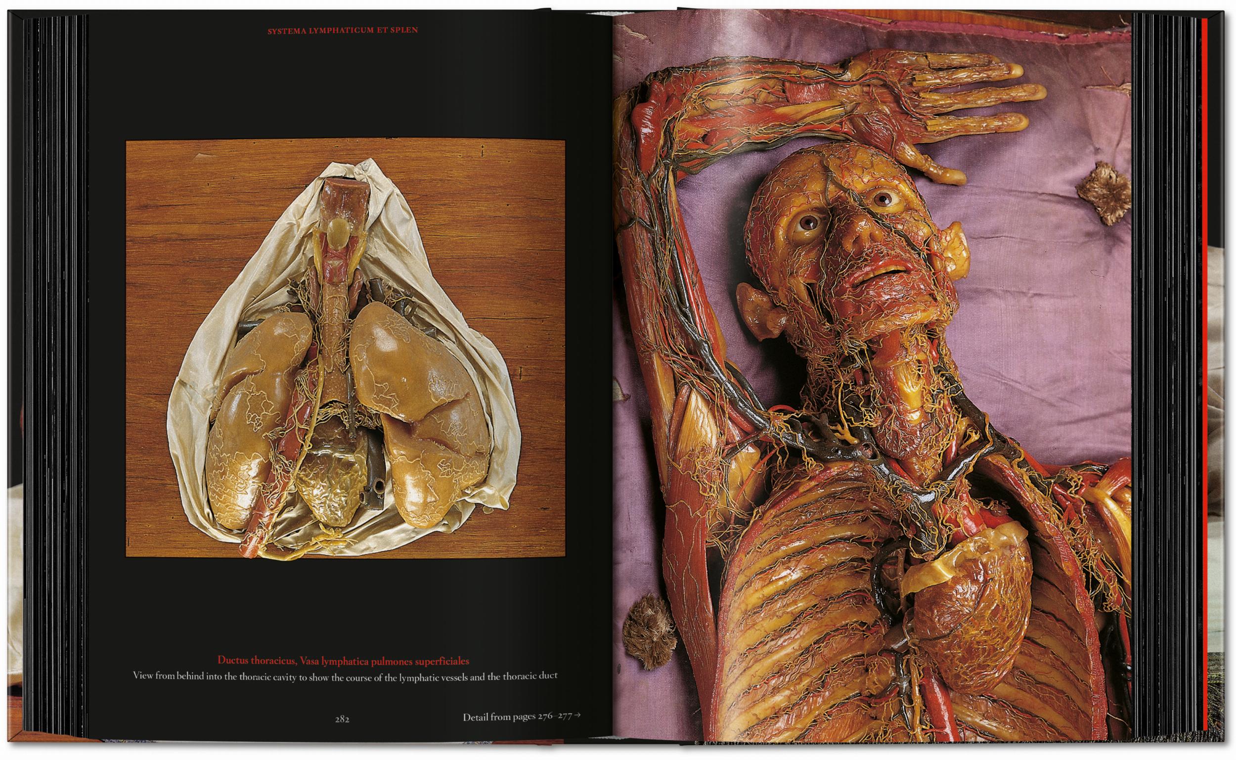 Taschen-Anatomical Waxes. 45th Ed. (German, French, English)-Classics-Black-Deal-Outlet-by-ARCHIVIST