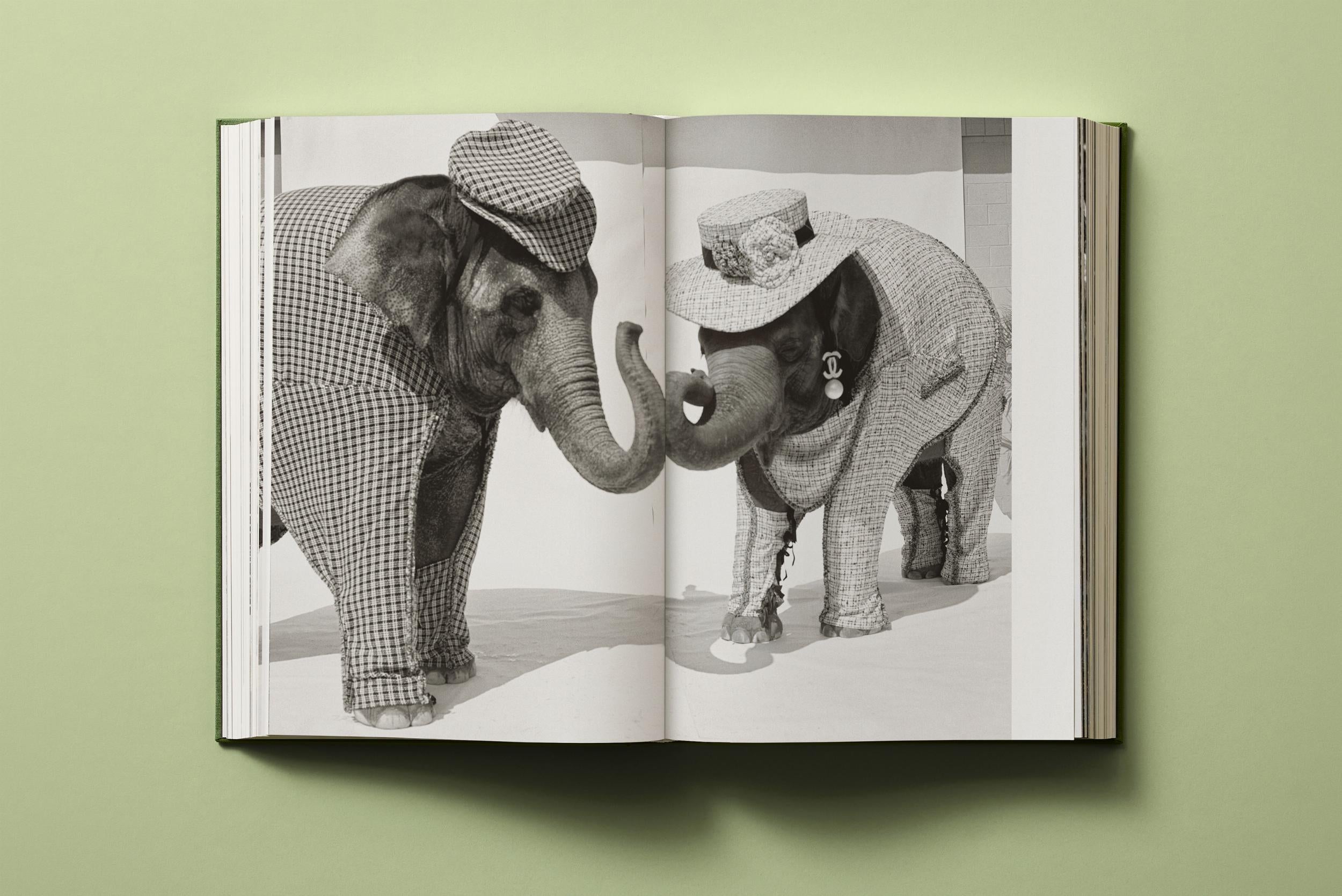 Taschen-Bruce Weber. My Education (German, French, English)-Photography-Black-Deal-Outlet-by-ARCHIVIST