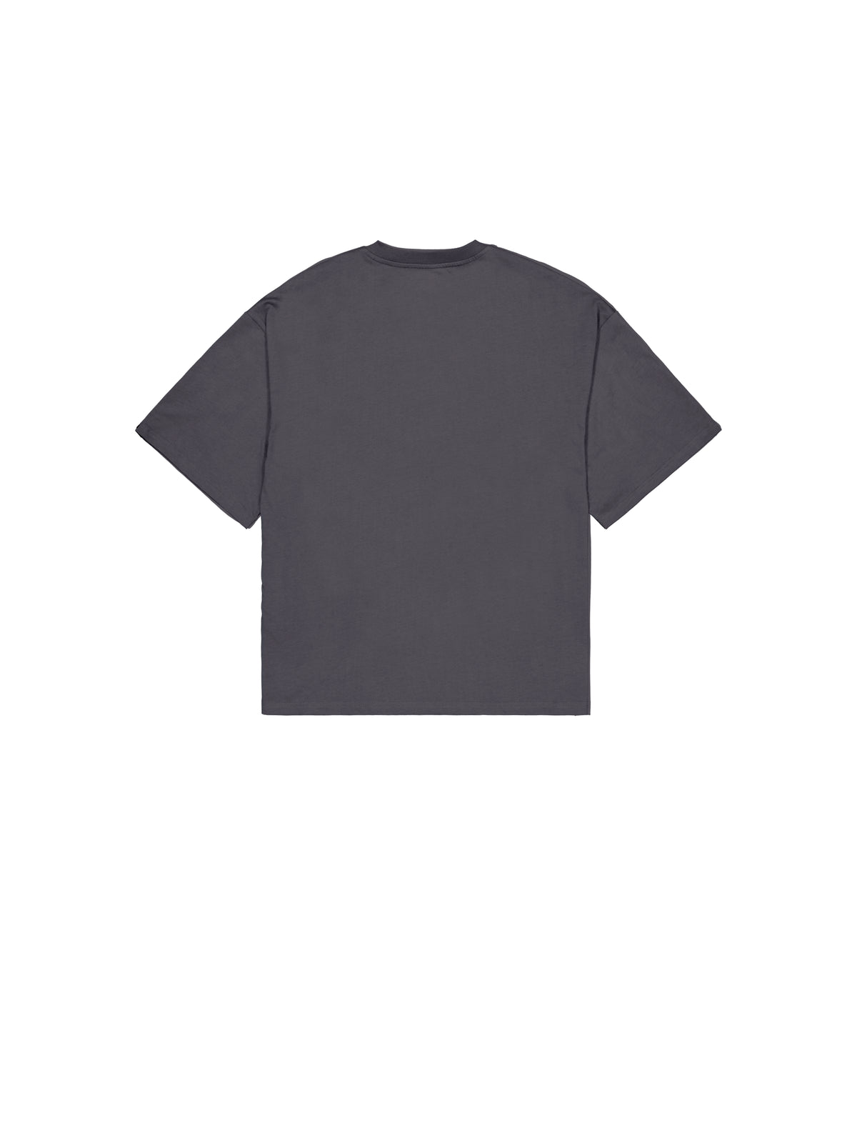 Flock Logo T-Shirt