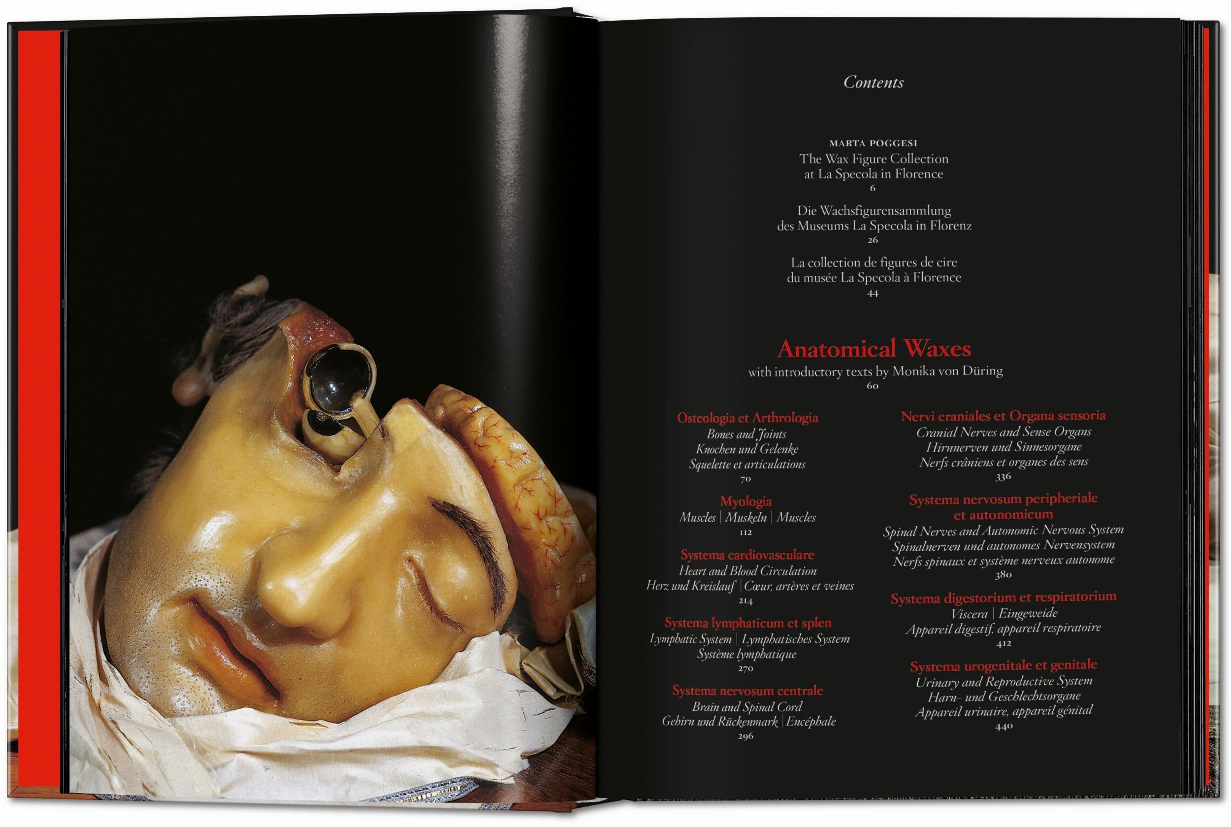 Taschen-Anatomical Waxes. 45th Ed. (German, French, English)-Classics-Black-Deal-Outlet-by-ARCHIVIST