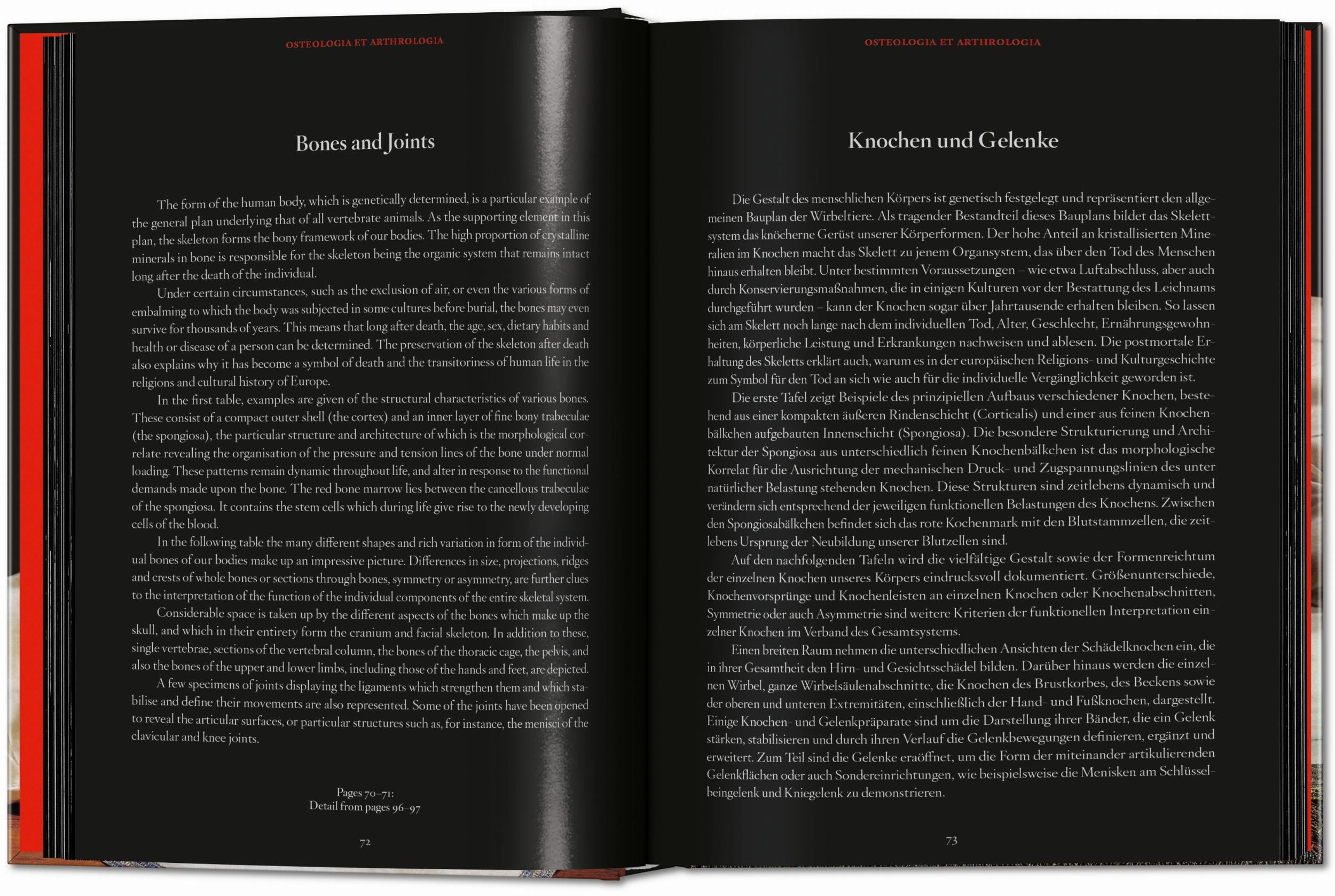 Taschen-Anatomical Waxes. 45th Ed. (German, French, English)-Classics-Black-Deal-Outlet-by-ARCHIVIST