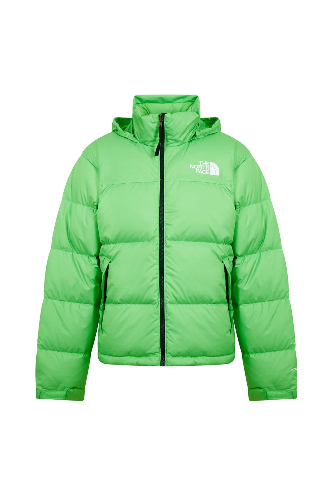 The Northface-OUTLET-SALE-1996 Retro Nuptse Chlorophyll Green Down Jacket-ARCHIVIST