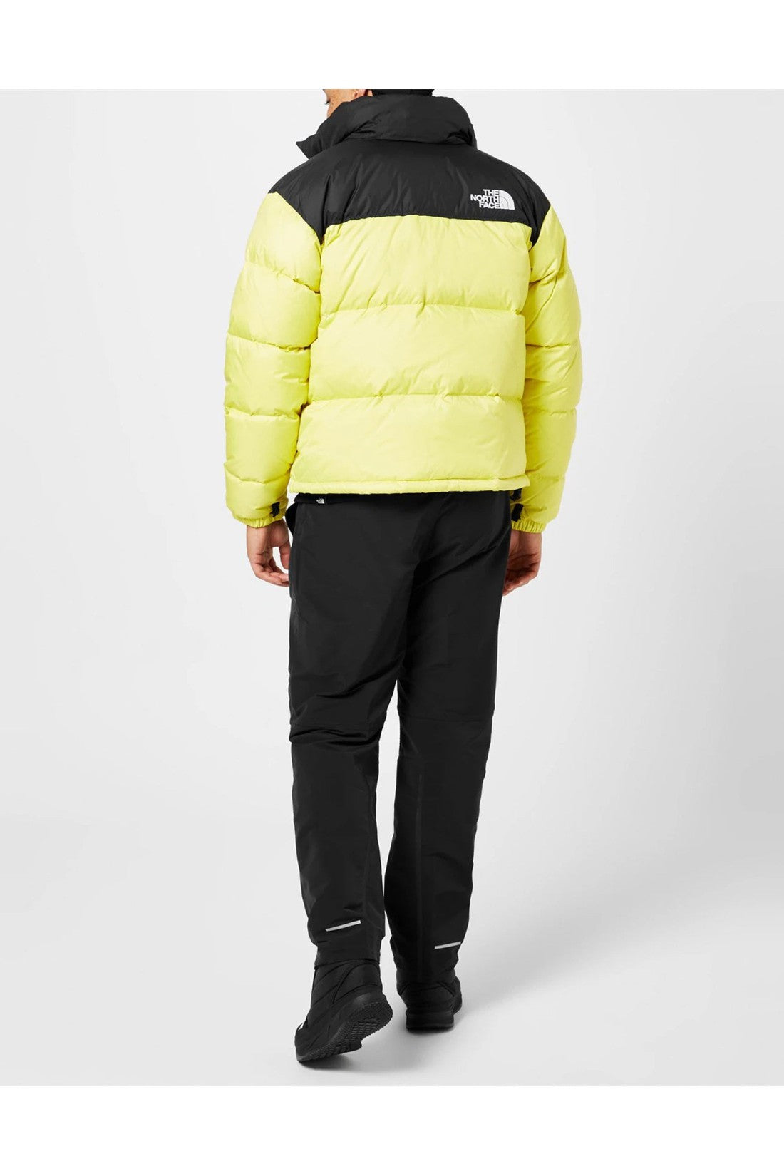 The North Face-OUTLET-SALE-1996 Retro Nuptse Down Jacket-ARCHIVIST