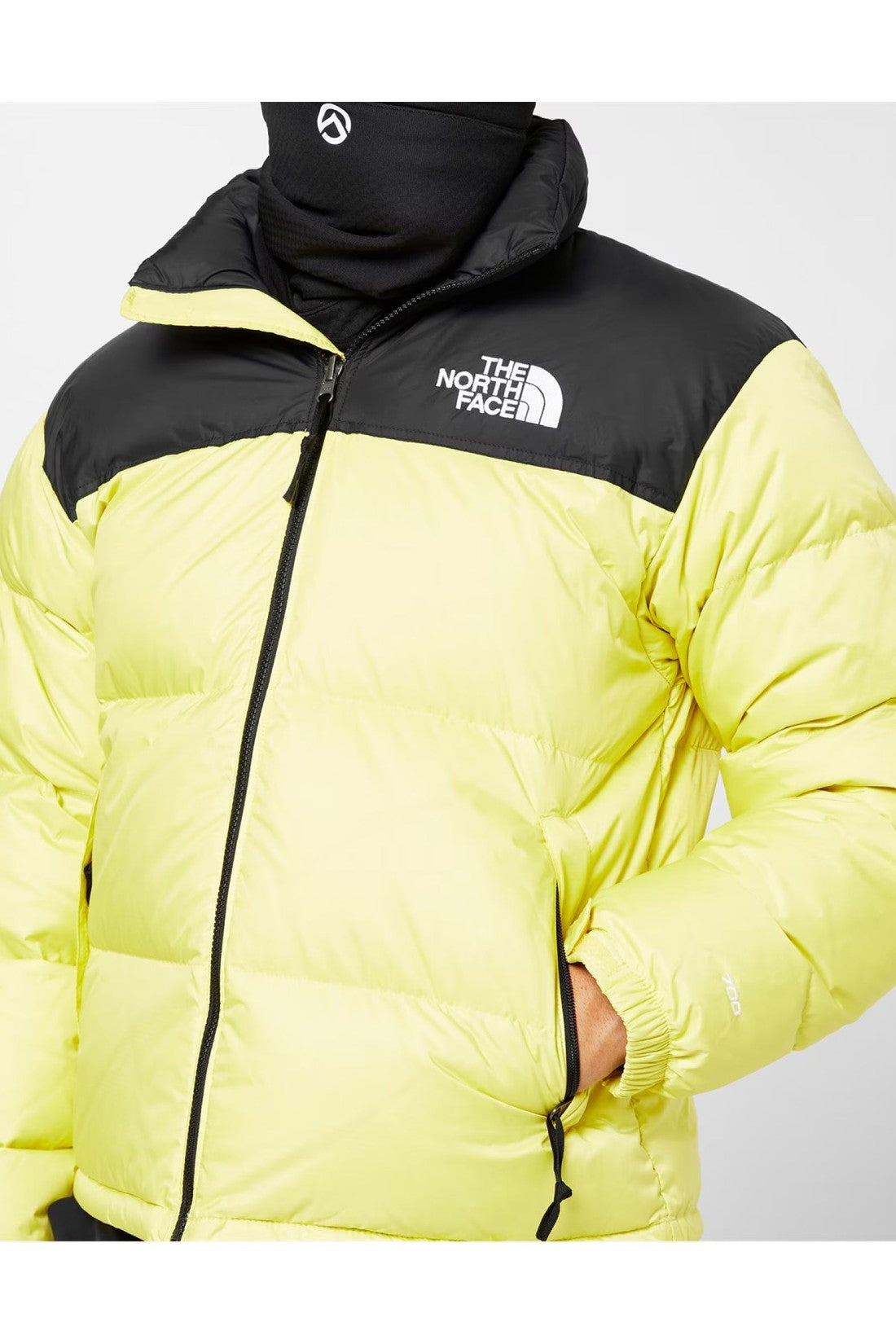 The North Face-OUTLET-SALE-1996 Retro Nuptse Down Jacket-ARCHIVIST