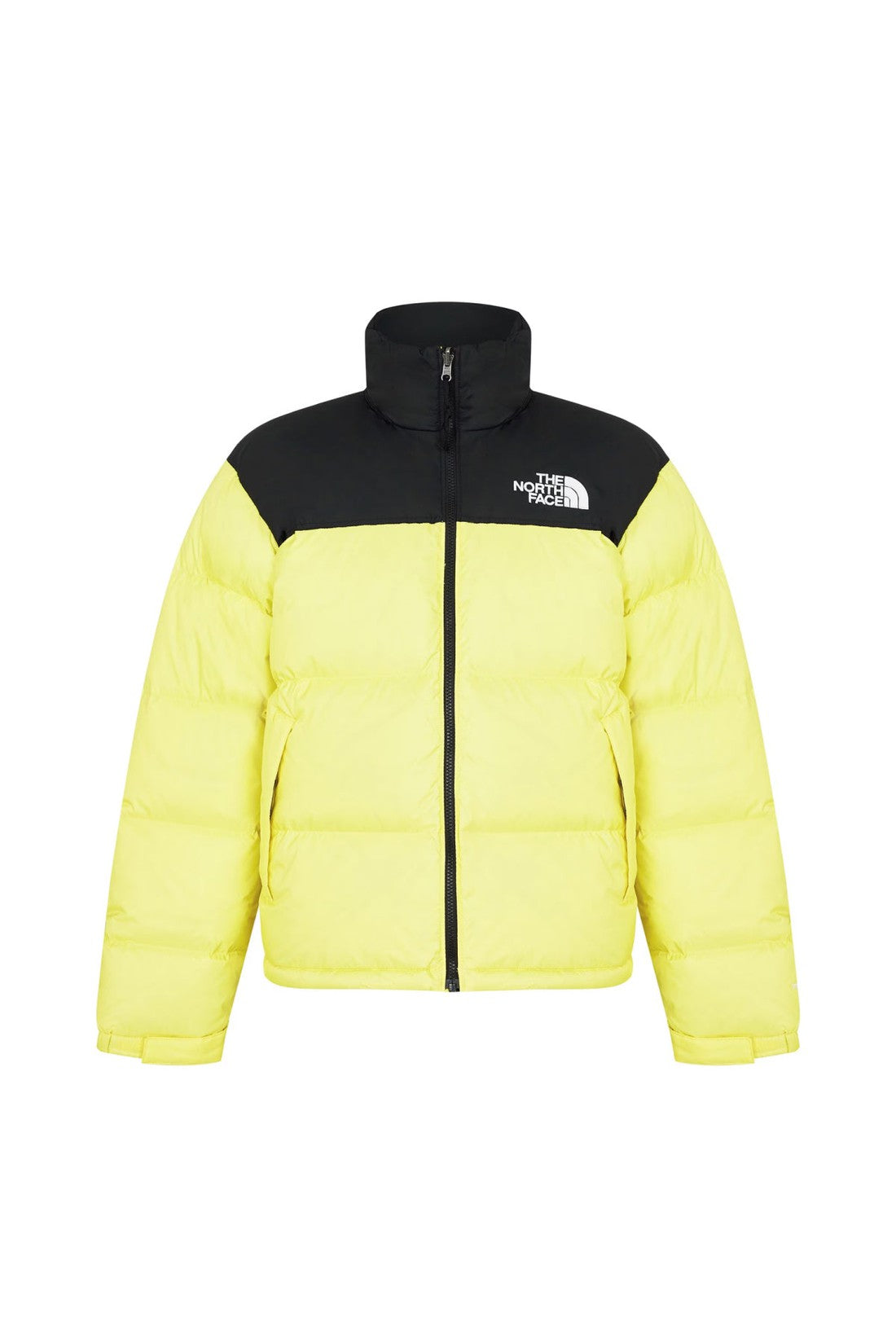 The North Face-OUTLET-SALE-1996 Retro Nuptse Down Jacket-ARCHIVIST