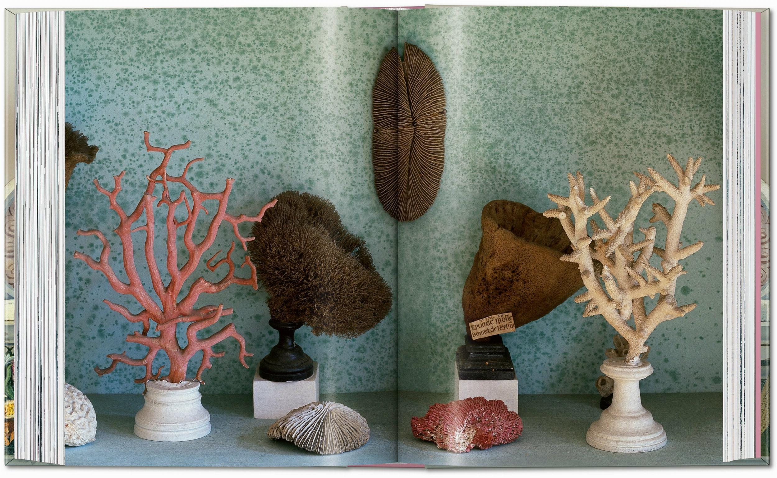 Taschen-Massimo Listri. Cabinet of Curiosities. 40th Ed. (German, French, English)-Photography-Black-Deal-Outlet-by-ARCHIVIST