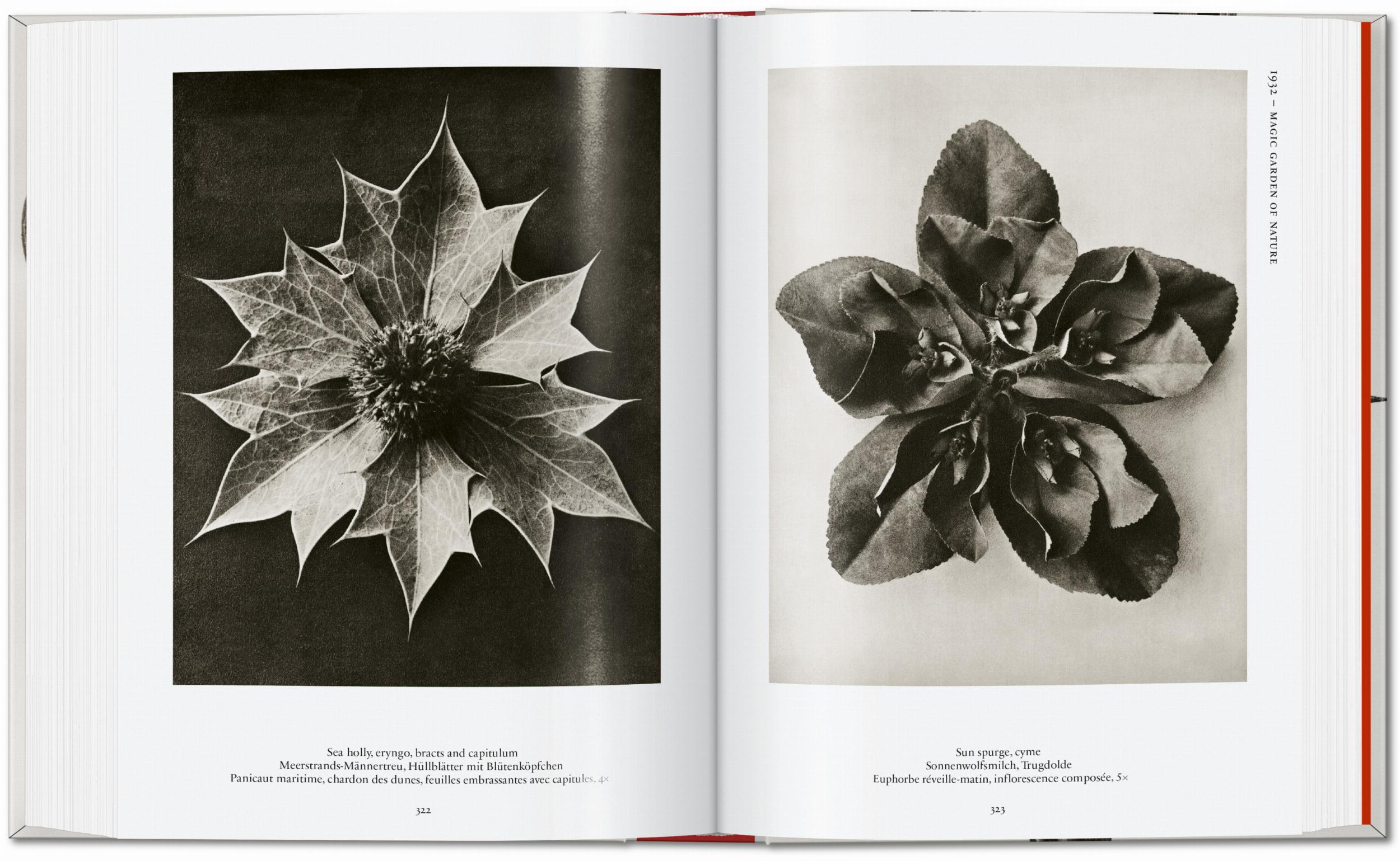 Taschen-Karl Blossfeldt. The Complete Published Work. 45th Ed. (German, French, English)-Photography-Black-Deal-Outlet-by-ARCHIVIST