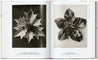 Taschen-Karl Blossfeldt. The Complete Published Work. 45th Ed. (German, French, English)-Photography-Black-Deal-Outlet-by-ARCHIVIST