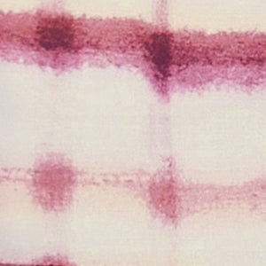 CHECKED STATEMENT blouse