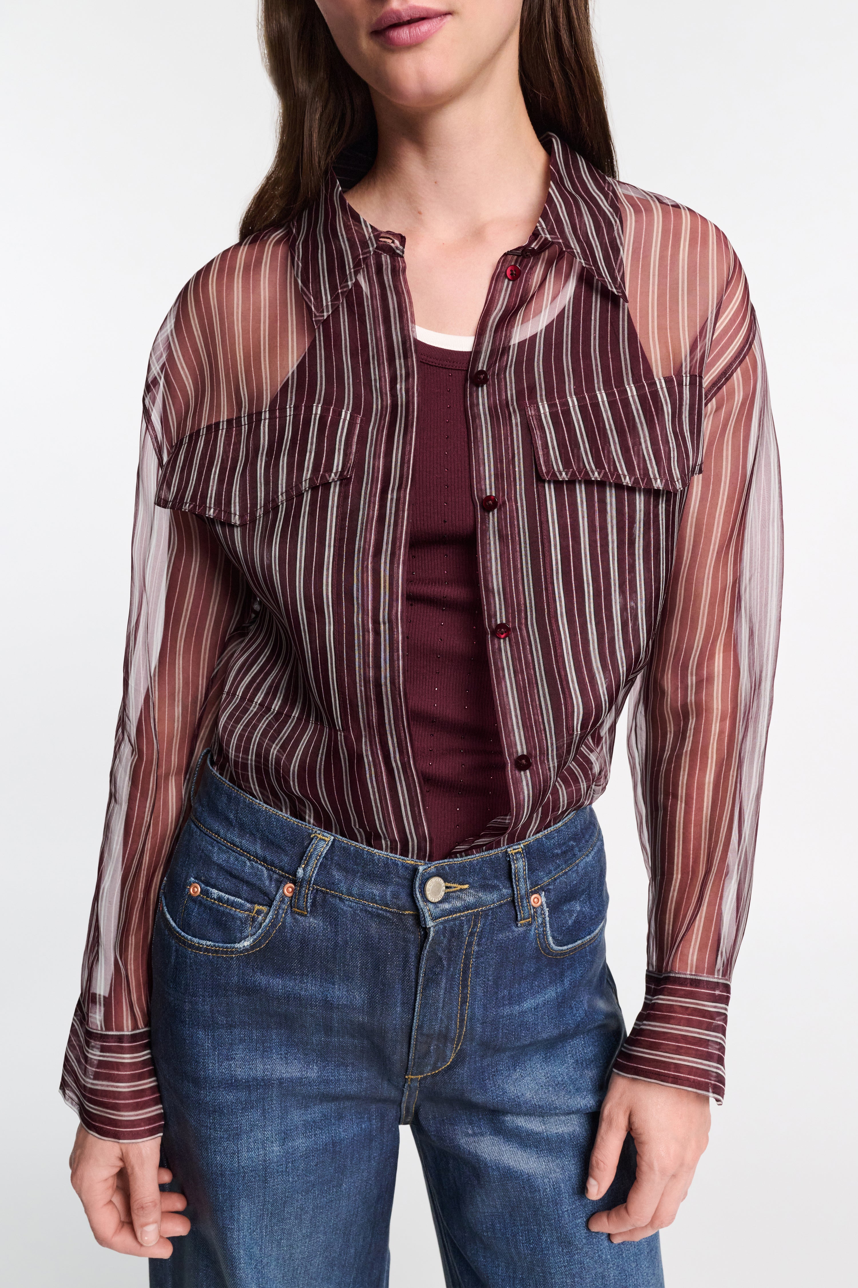 TRANSPARENT STRIPE Blouse