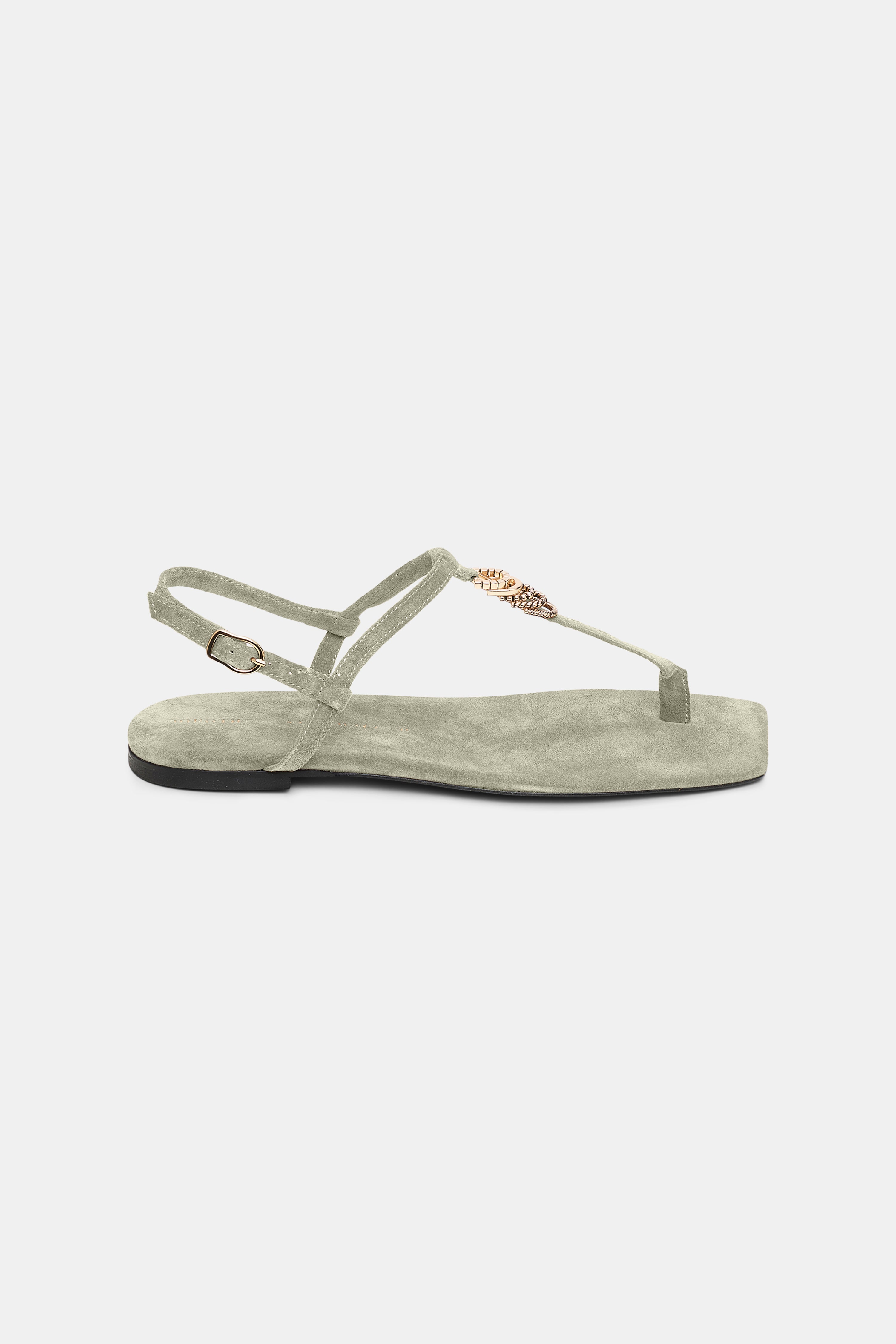 SUEDE SENSATION toe post sandal