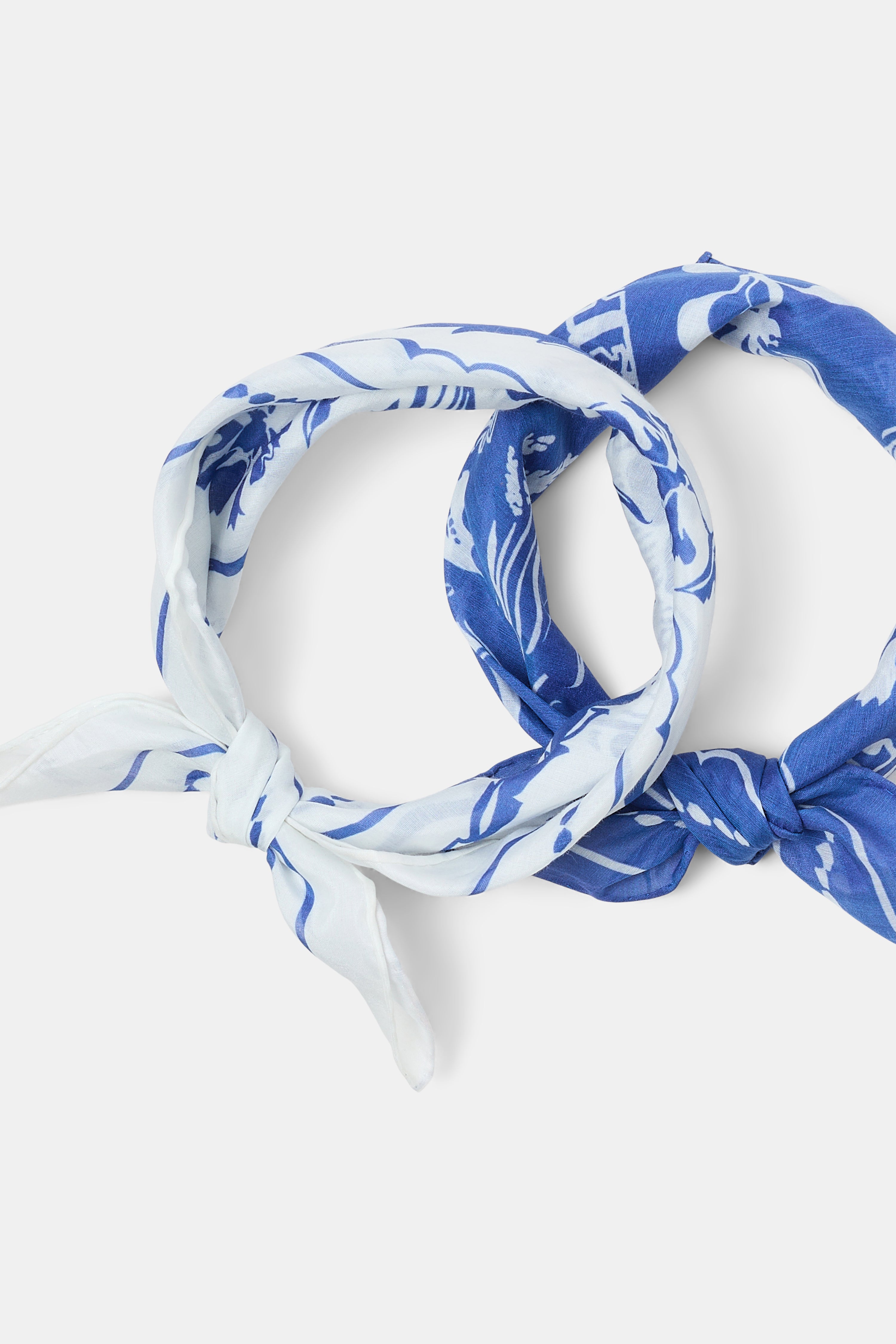 FRIENDS OF DOROTHEE scarf