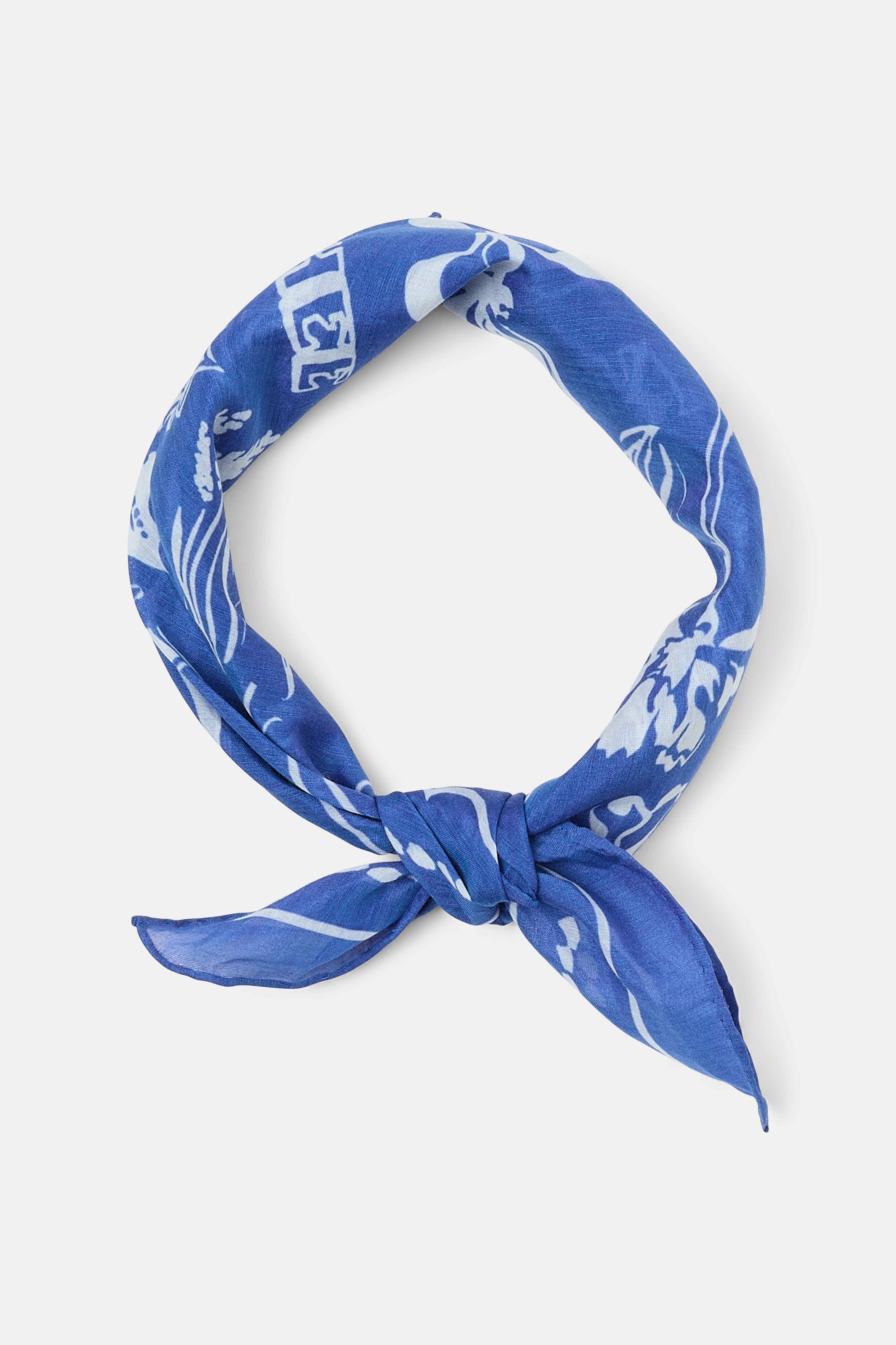 FRIENDS OF DOROTHEE scarf