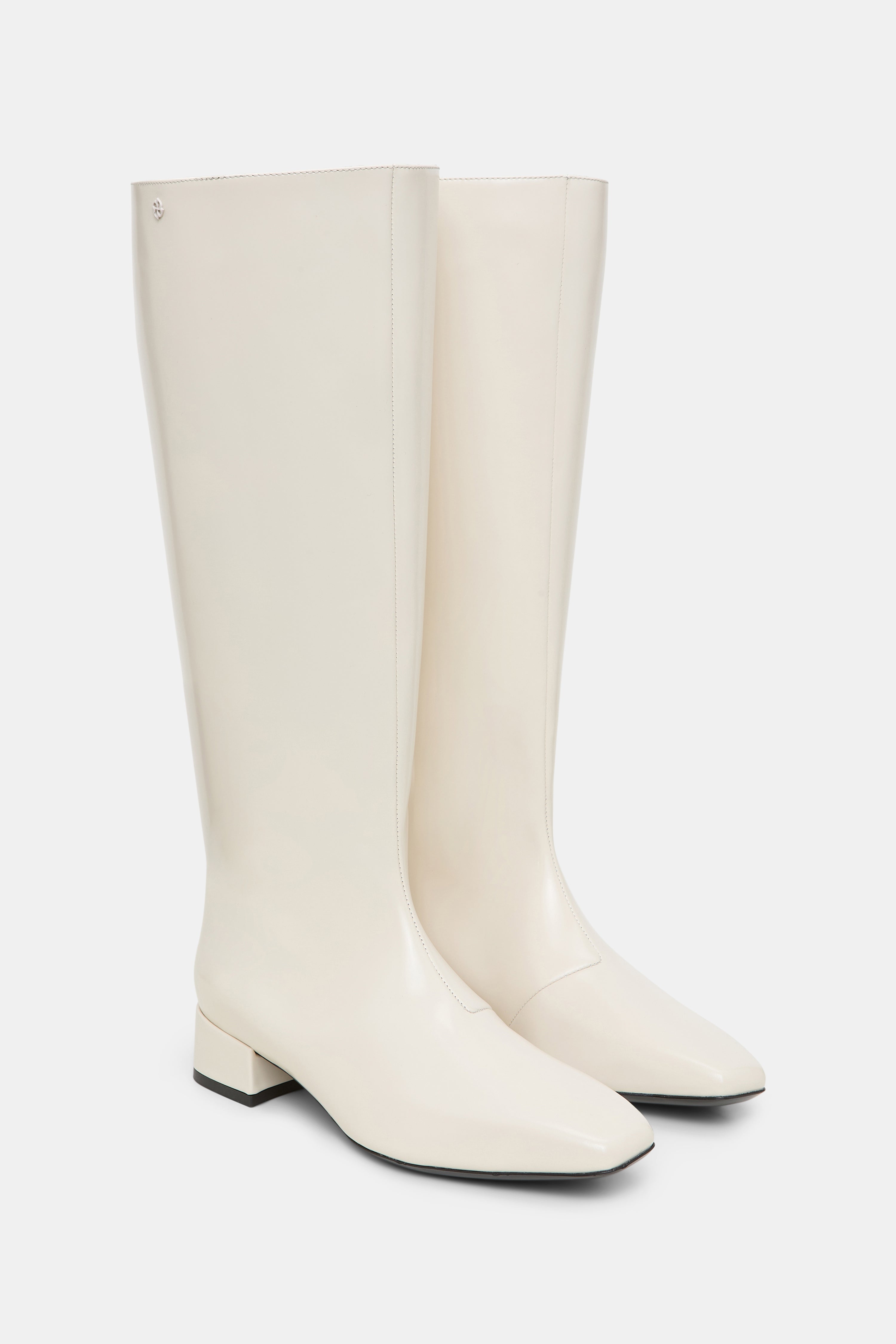 SUBTLE SHINE Riding Boot