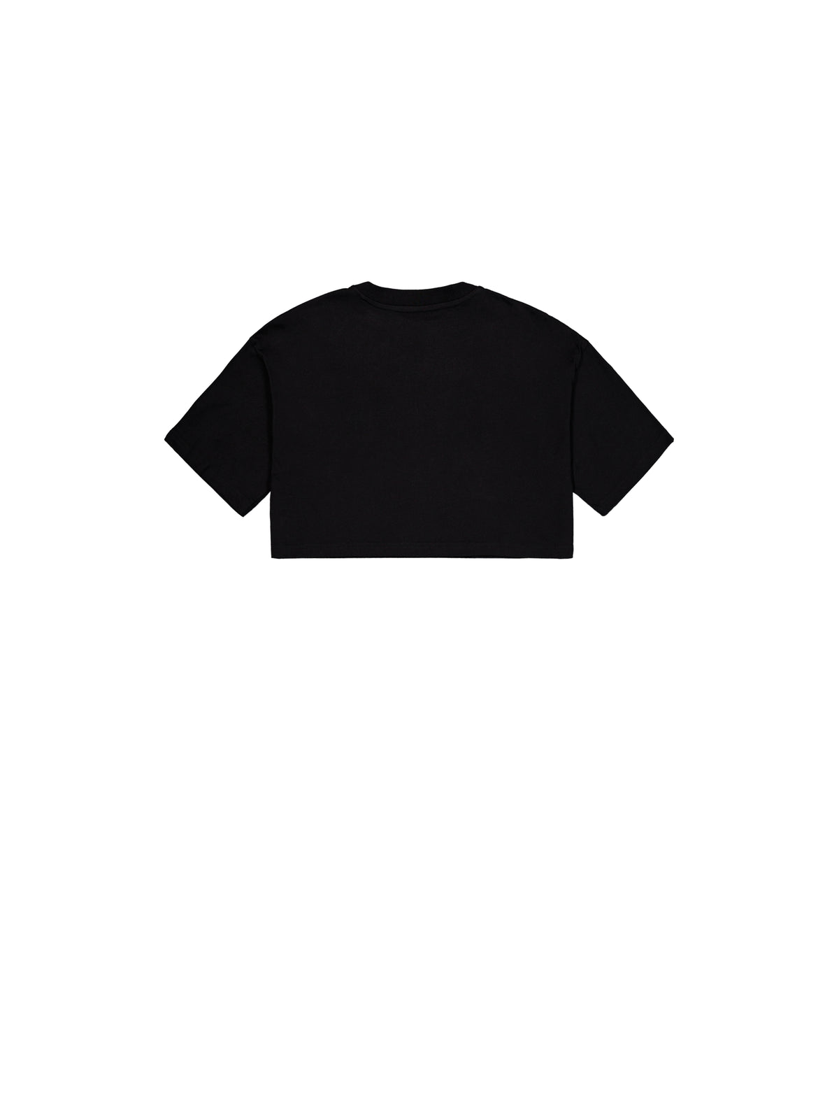 Studio Rainbow Cropped T-Shirt Women