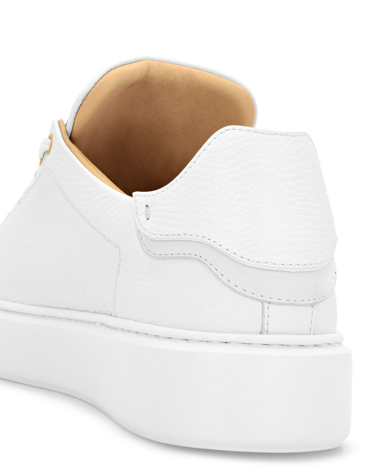 Low Top Sneakers