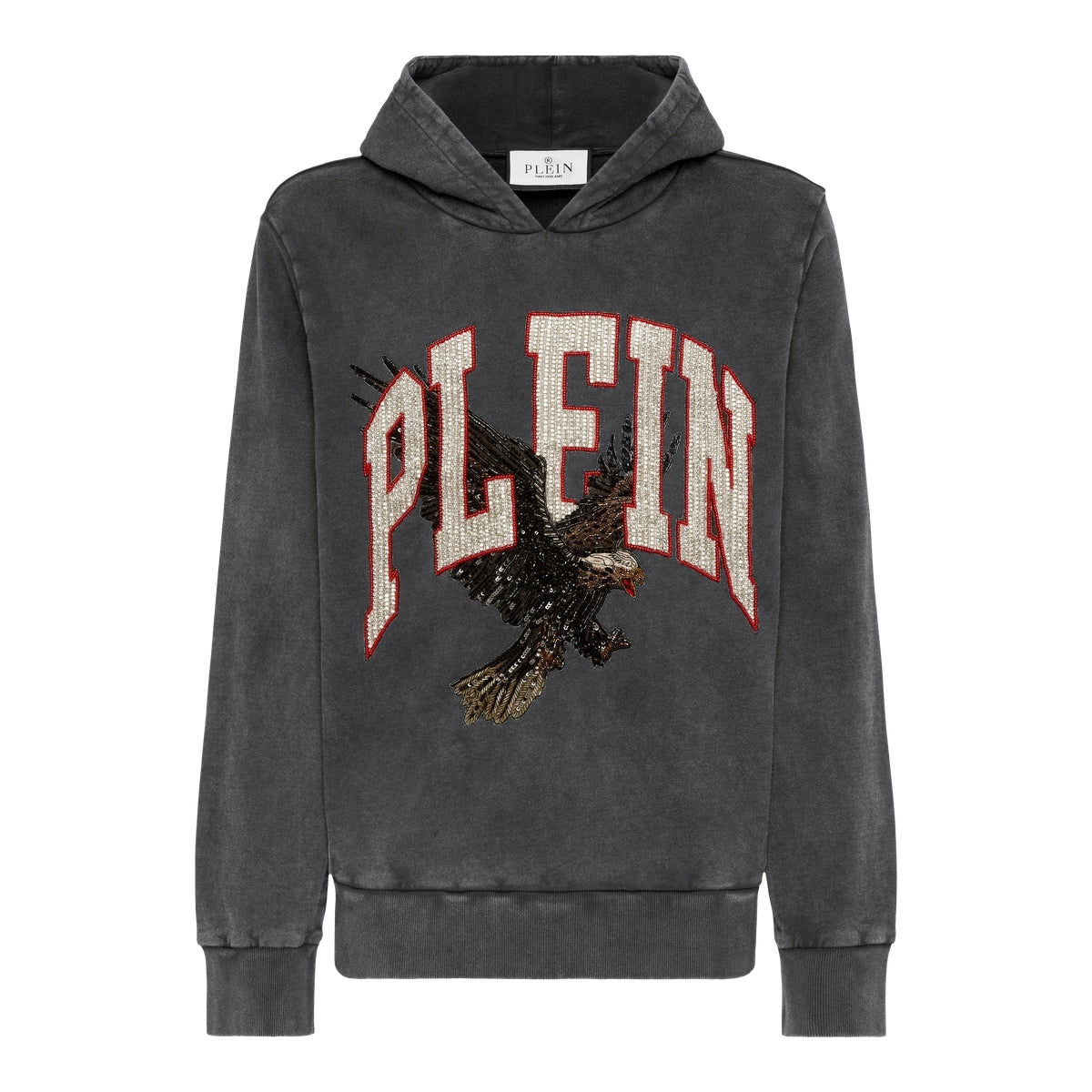 Washed Hoodie Sweatshirt Plein Eagle