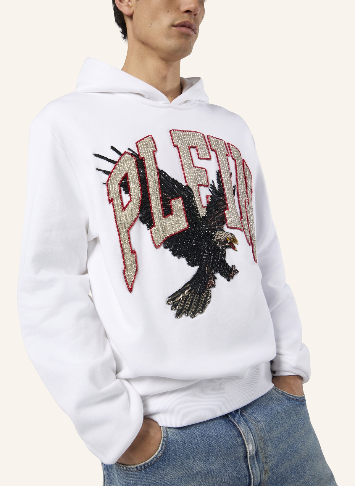 Washed Hoodie Sweatshirt Plein Eagle
