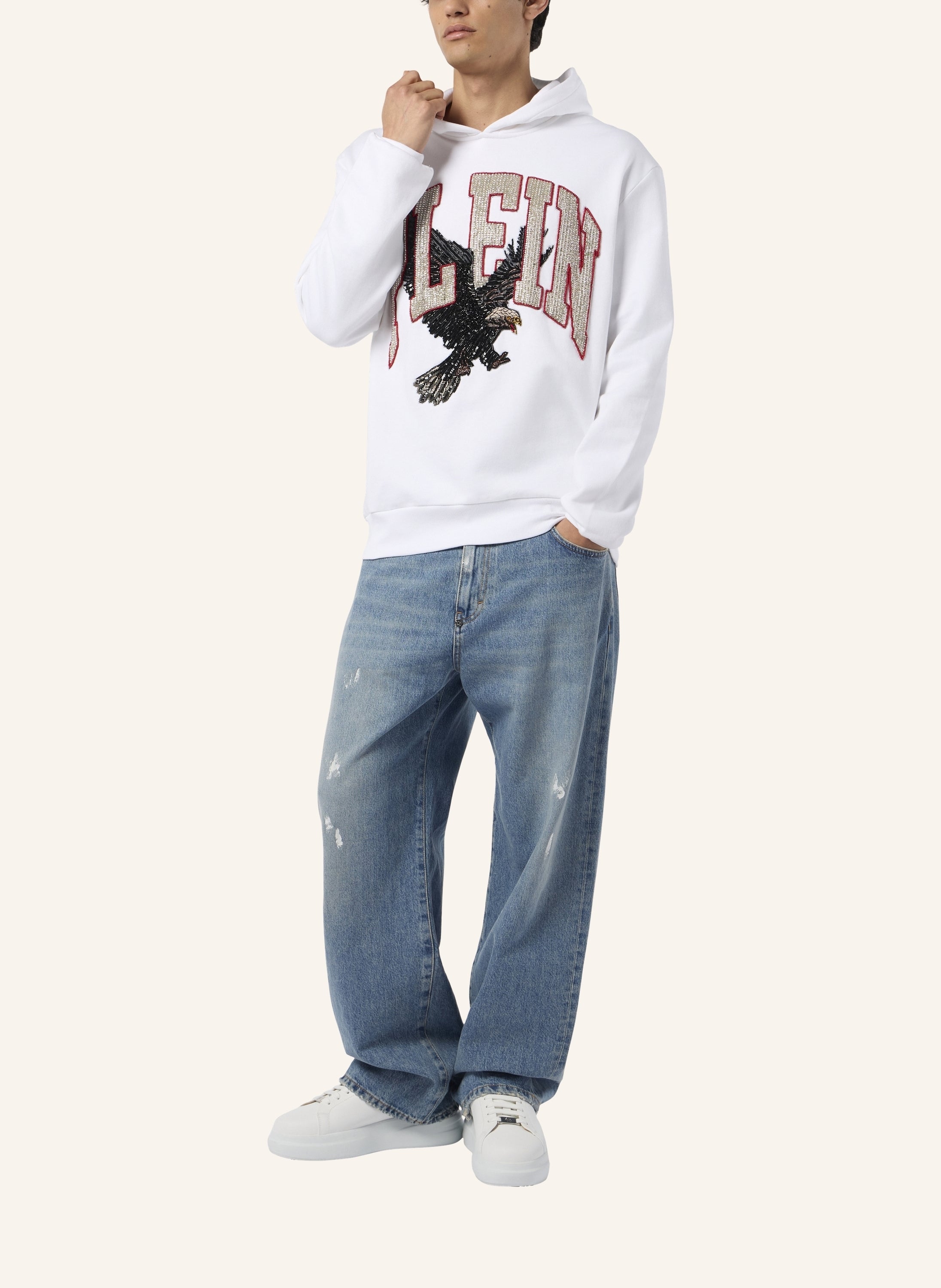 Washed Hoodie Sweatshirt Plein Eagle