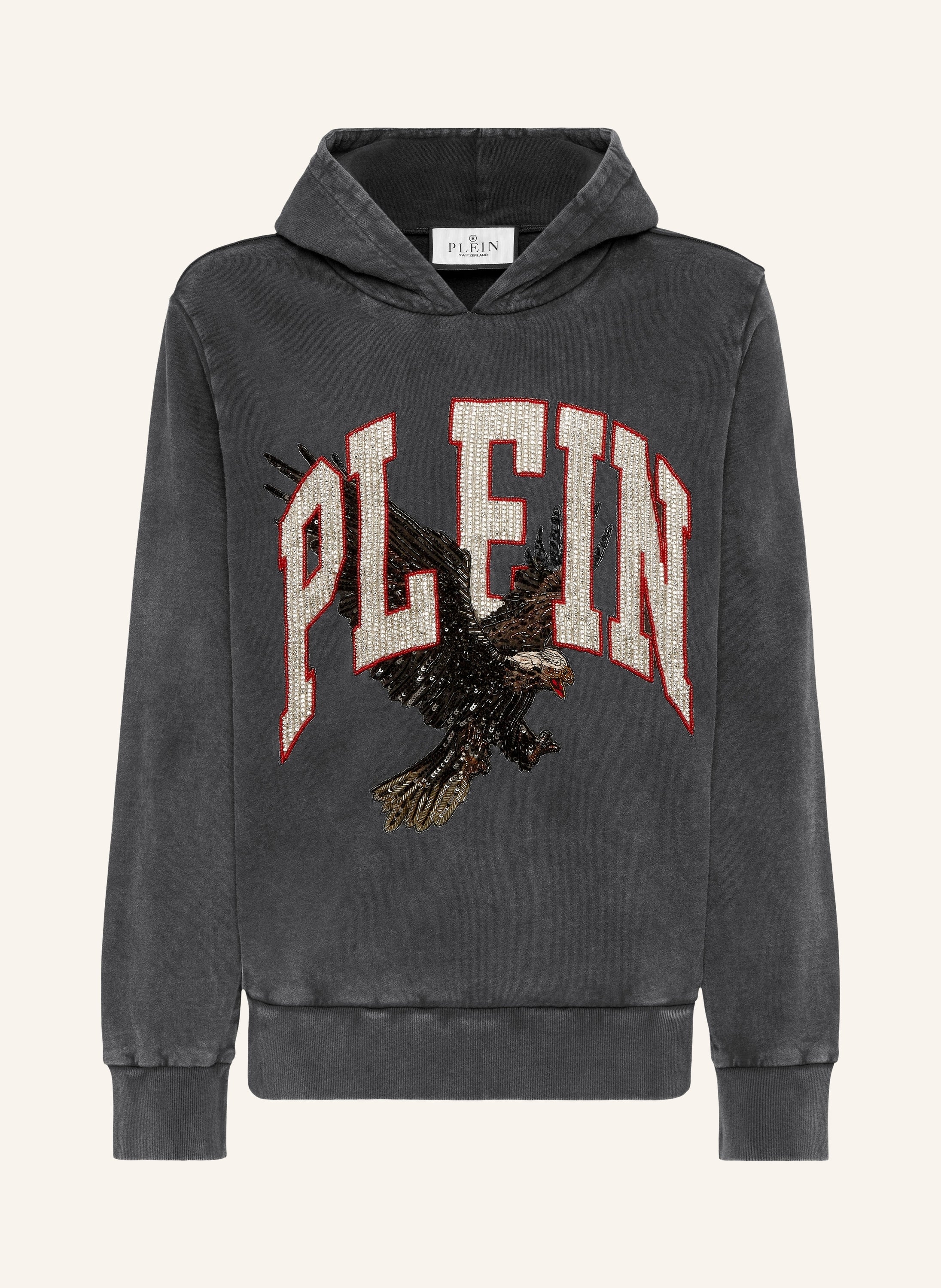 Washed Hoodie Sweatshirt Plein Eagle