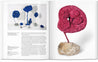 Taschen-Yves Klein (Spanish)-Art-Black-Deal-Outlet-by-ARCHIVIST