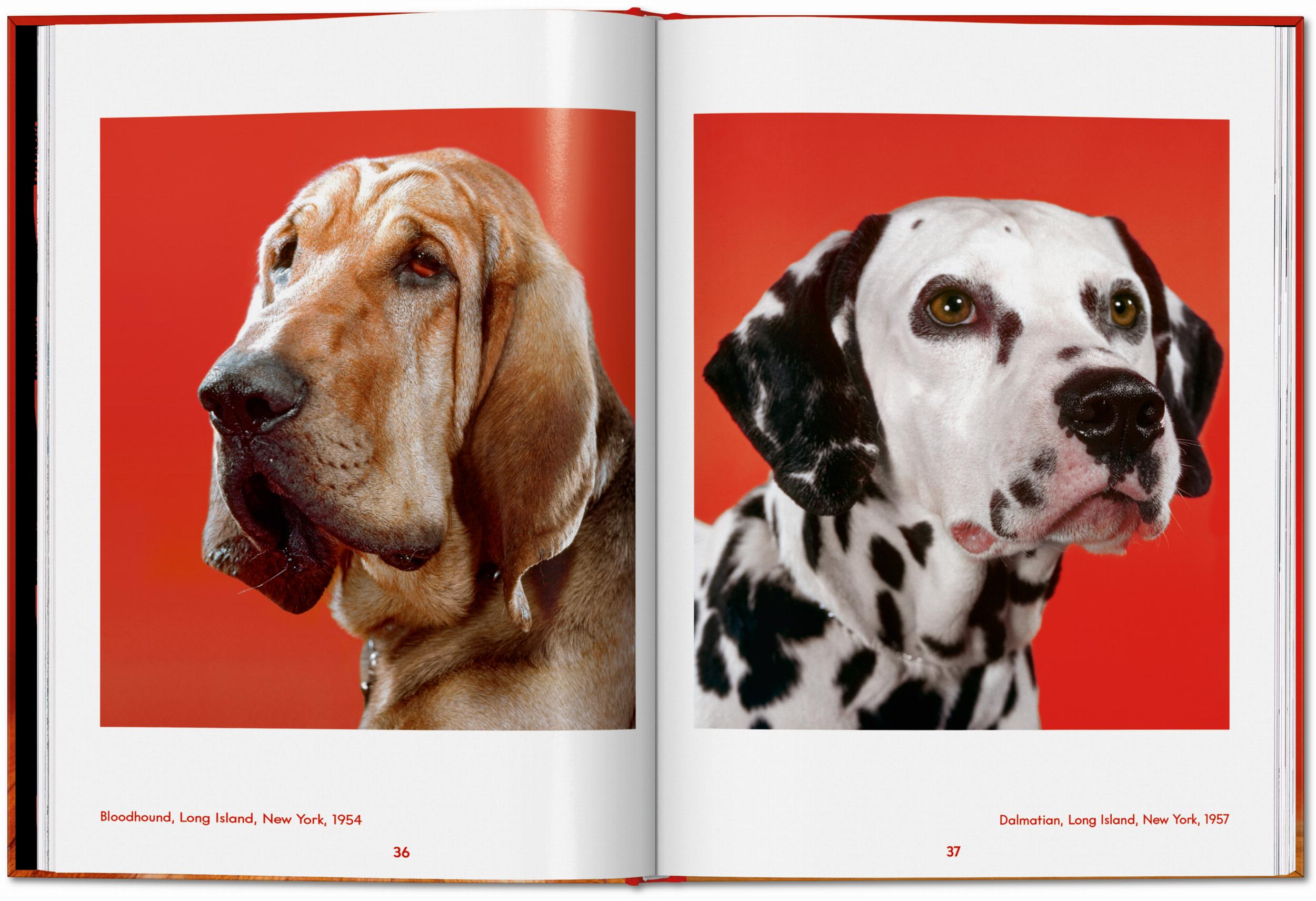 Taschen-Walter Chandoha. Dogs. Photographs 1941–1991 (English)-Photography-Black-Deal-Outlet-by-ARCHIVIST