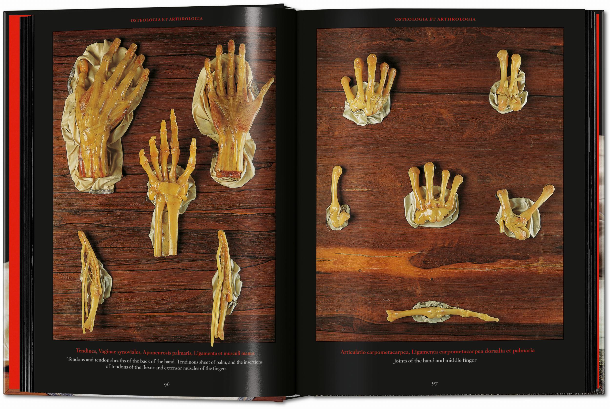 Taschen-Anatomical Waxes. 45th Ed. (German, French, English)-Classics-Black-Deal-Outlet-by-ARCHIVIST