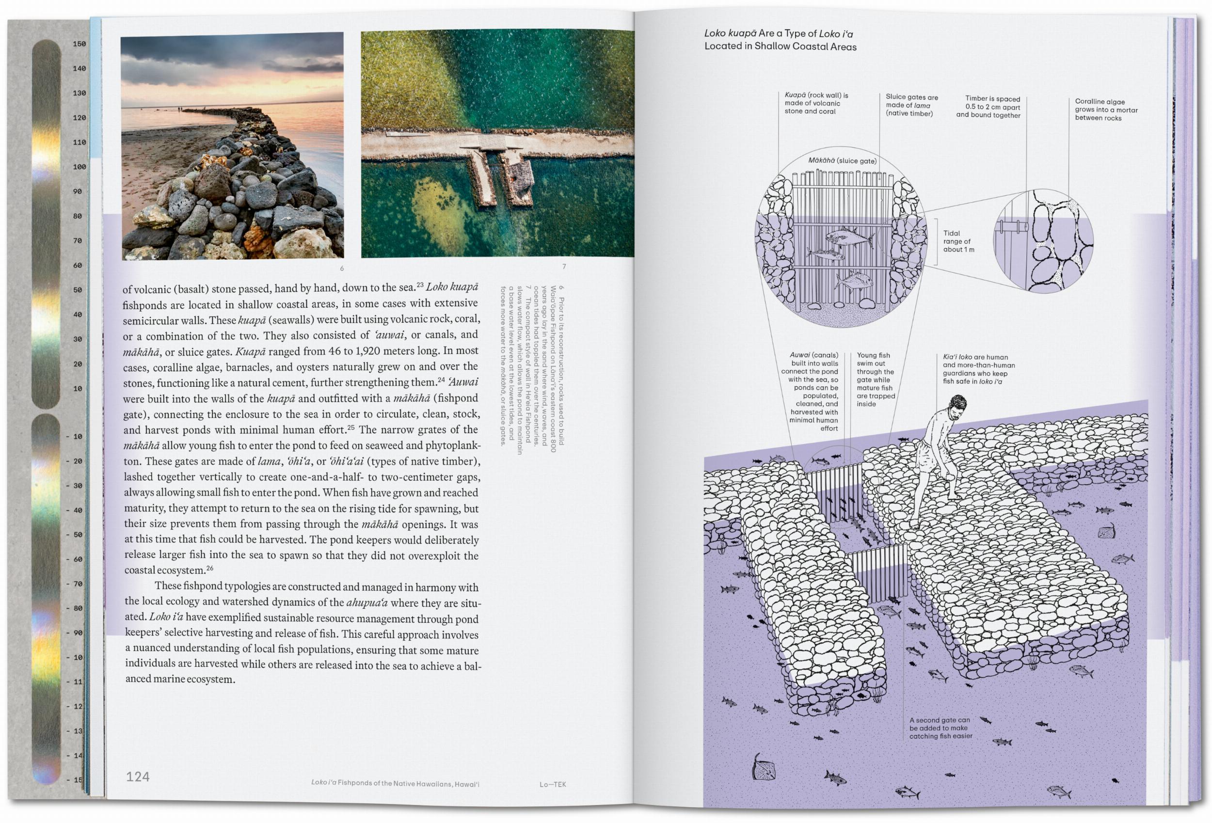 Taschen-Julia Watson. Lo—TEK. Water. A Field Guide for TEKnology (English)-Architektur & Design-Black-Deal-Outlet-by-ARCHIVIST