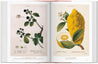 Taschen-A Garden Eden. Masterpieces of Botanical Illustration. 45th Ed. (German, French, English)-Classics-Black-Deal-Outlet-by-ARCHIVIST