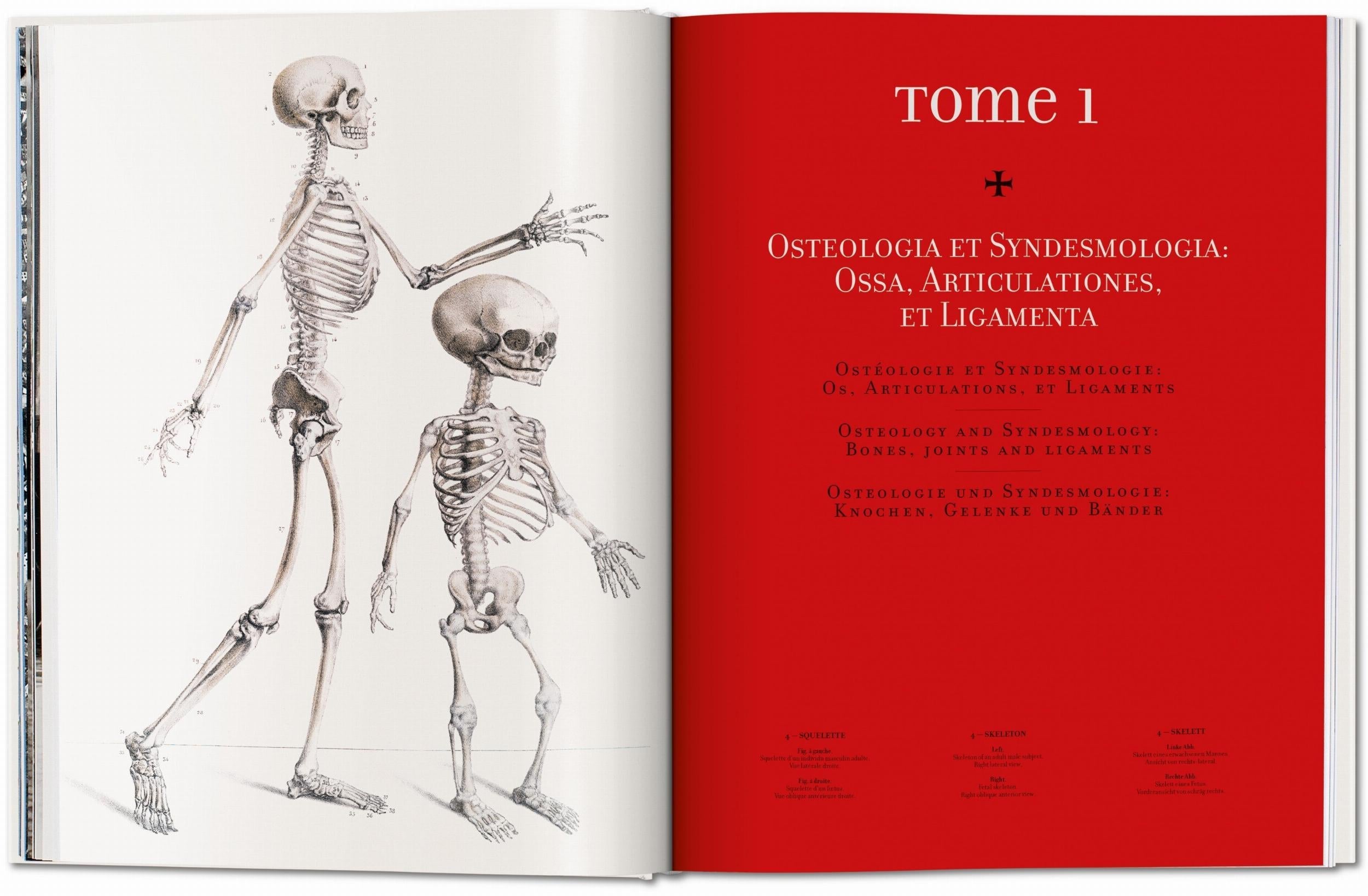 Taschen-Bourgery. Atlas of Human Anatomy and Surgery (German, French, English)-Classics-Black-Deal-Outlet-by-ARCHIVIST