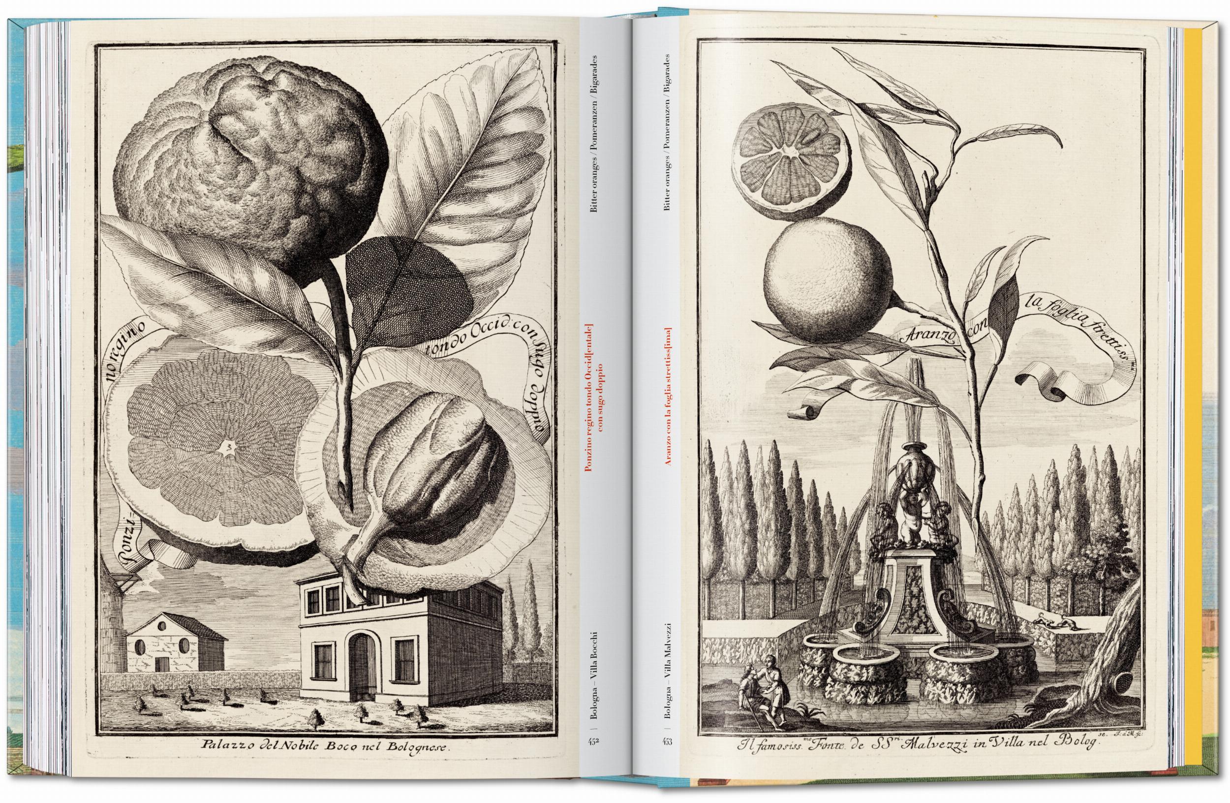 Taschen-J. C. Volkamer. The Book of Citrus Fruits. 45th Ed. (German, French, English)-Classics-Black-Deal-Outlet-by-ARCHIVIST