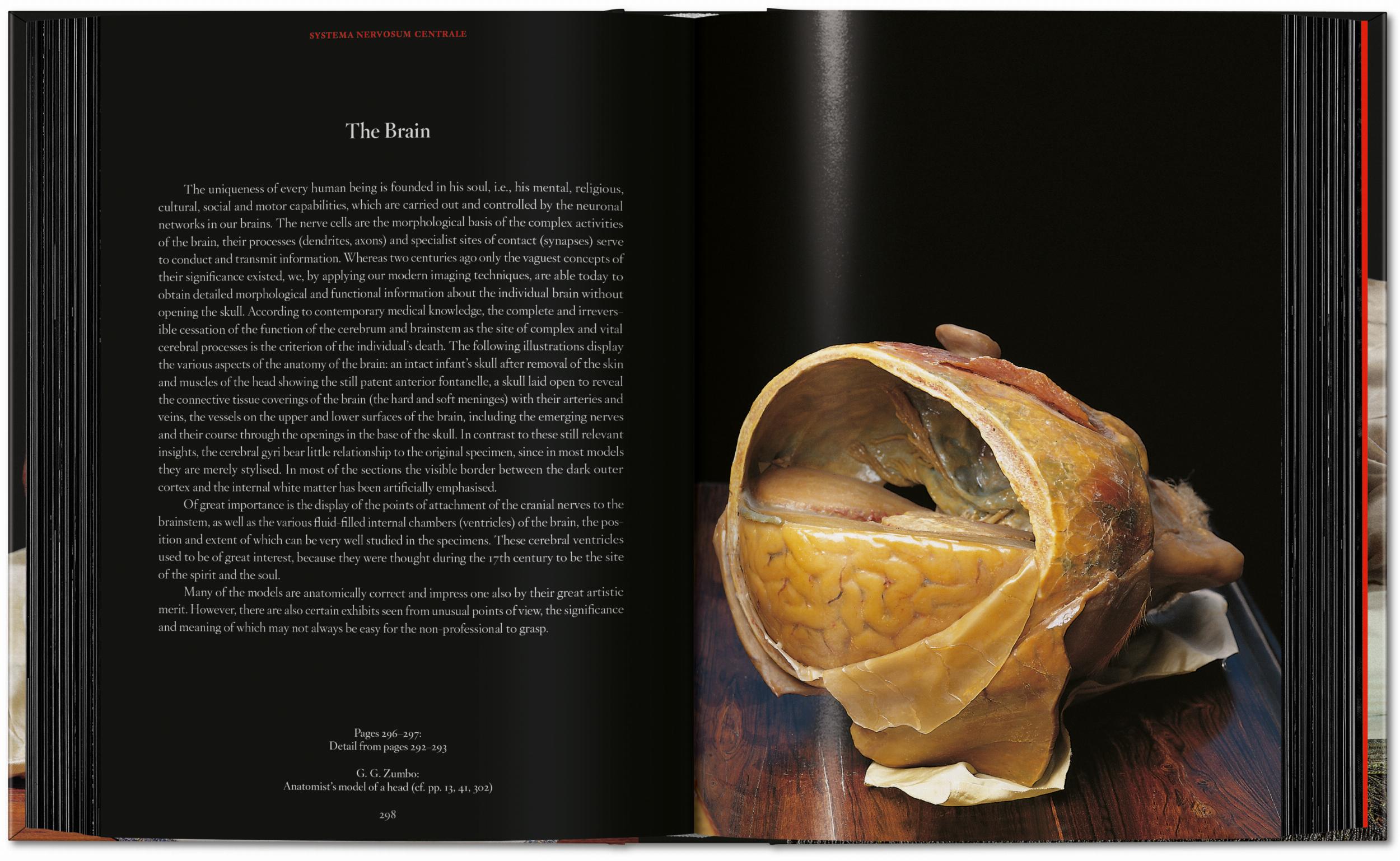 Taschen-Anatomical Waxes. 45th Ed. (German, French, English)-Classics-Black-Deal-Outlet-by-ARCHIVIST