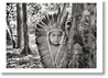 Taschen-Sebastião Salgado. Amazônia. Poster ‘Yawanawa Girl’-Photography-Black-Deal-Outlet-by-ARCHIVIST
