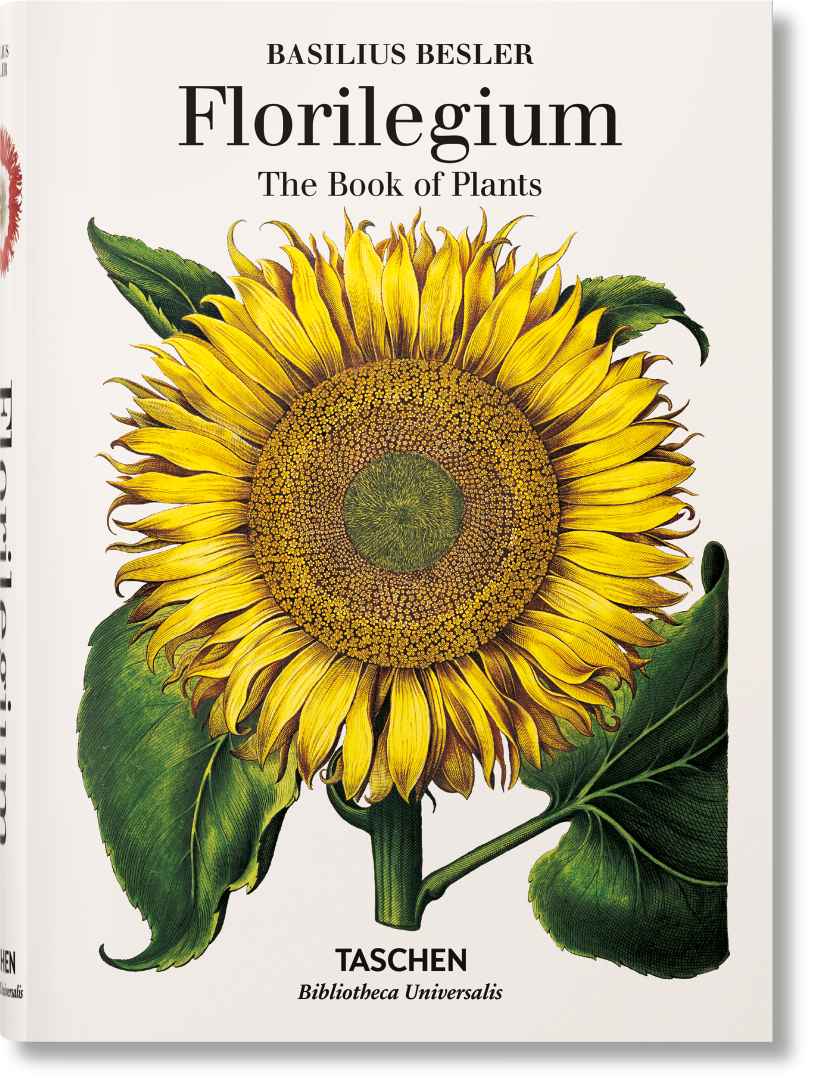 Taschen-Basilius Besler. Florilegium. The Book of Plants (English)-Classics-Black-Deal-Outlet-by-ARCHIVIST