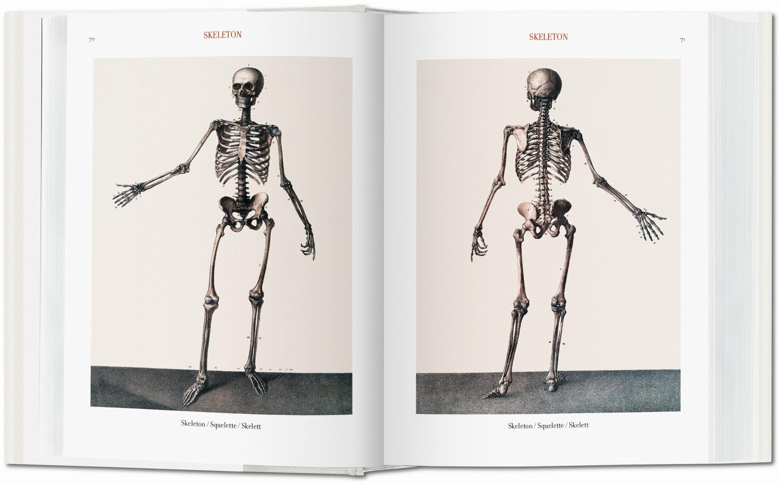 Taschen-Bourgery. Atlas of Human Anatomy and Surgery (German, French, English)-Classics-Black-Deal-Outlet-by-ARCHIVIST