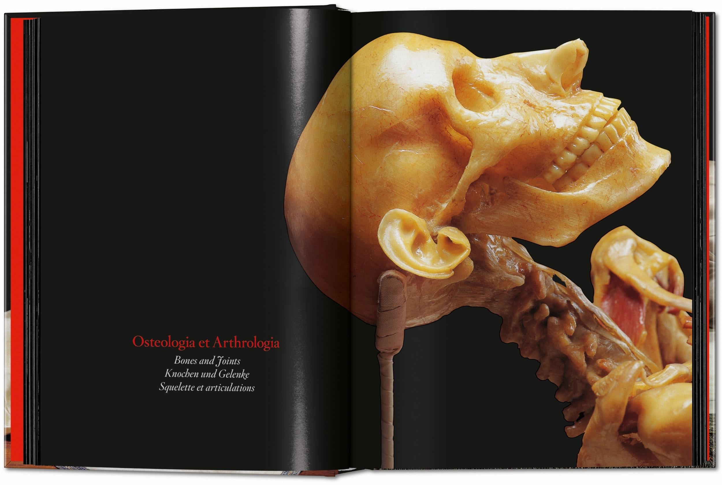 Taschen-Anatomical Waxes. 45th Ed. (German, French, English)-Classics-Black-Deal-Outlet-by-ARCHIVIST