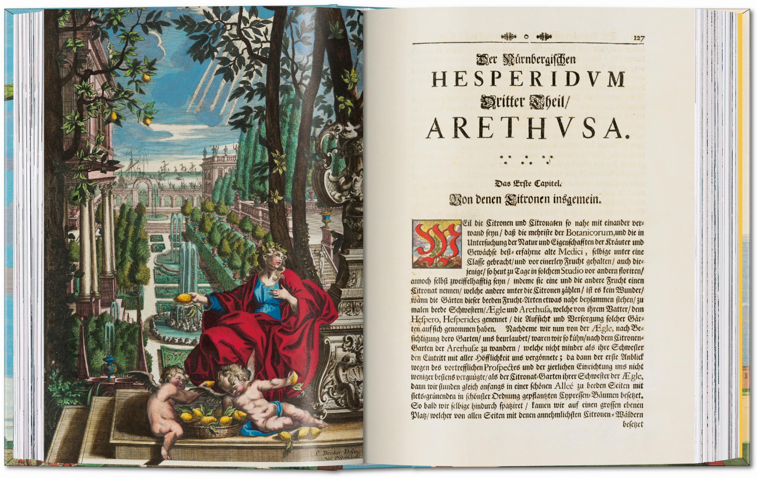 Taschen-J. C. Volkamer. The Book of Citrus Fruits. 45th Ed. (German, French, English)-Classics-Black-Deal-Outlet-by-ARCHIVIST