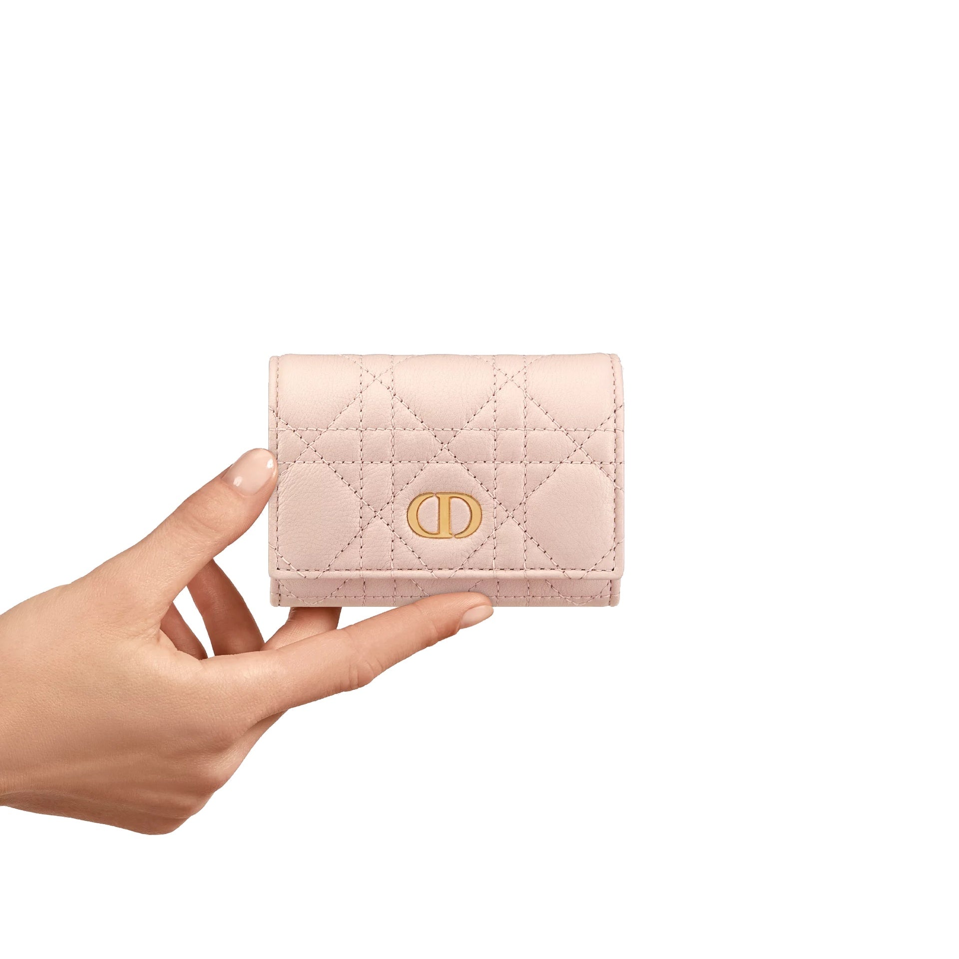 Dior Glycine Caro Leather Wallet