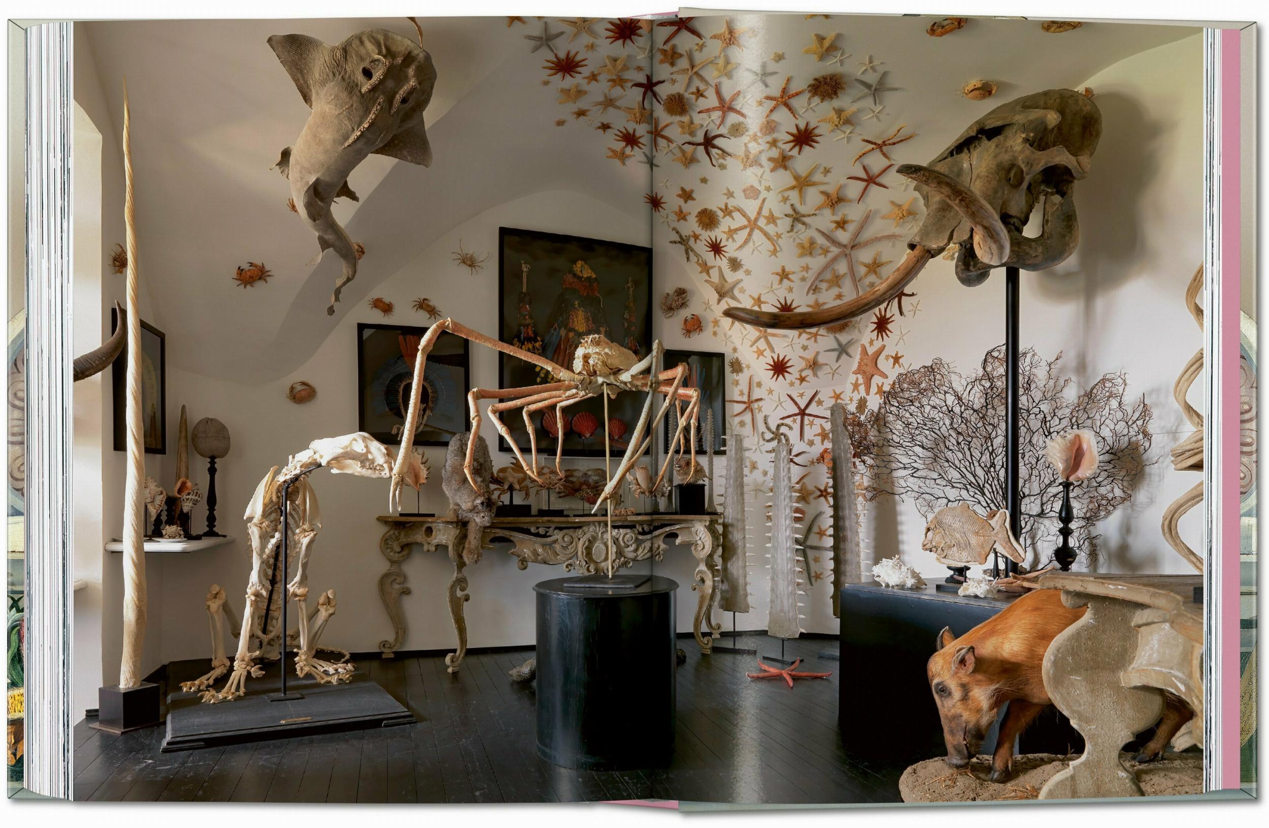 Taschen-Massimo Listri. Cabinet of Curiosities. 40th Ed. (German, French, English)-Photography-Black-Deal-Outlet-by-ARCHIVIST