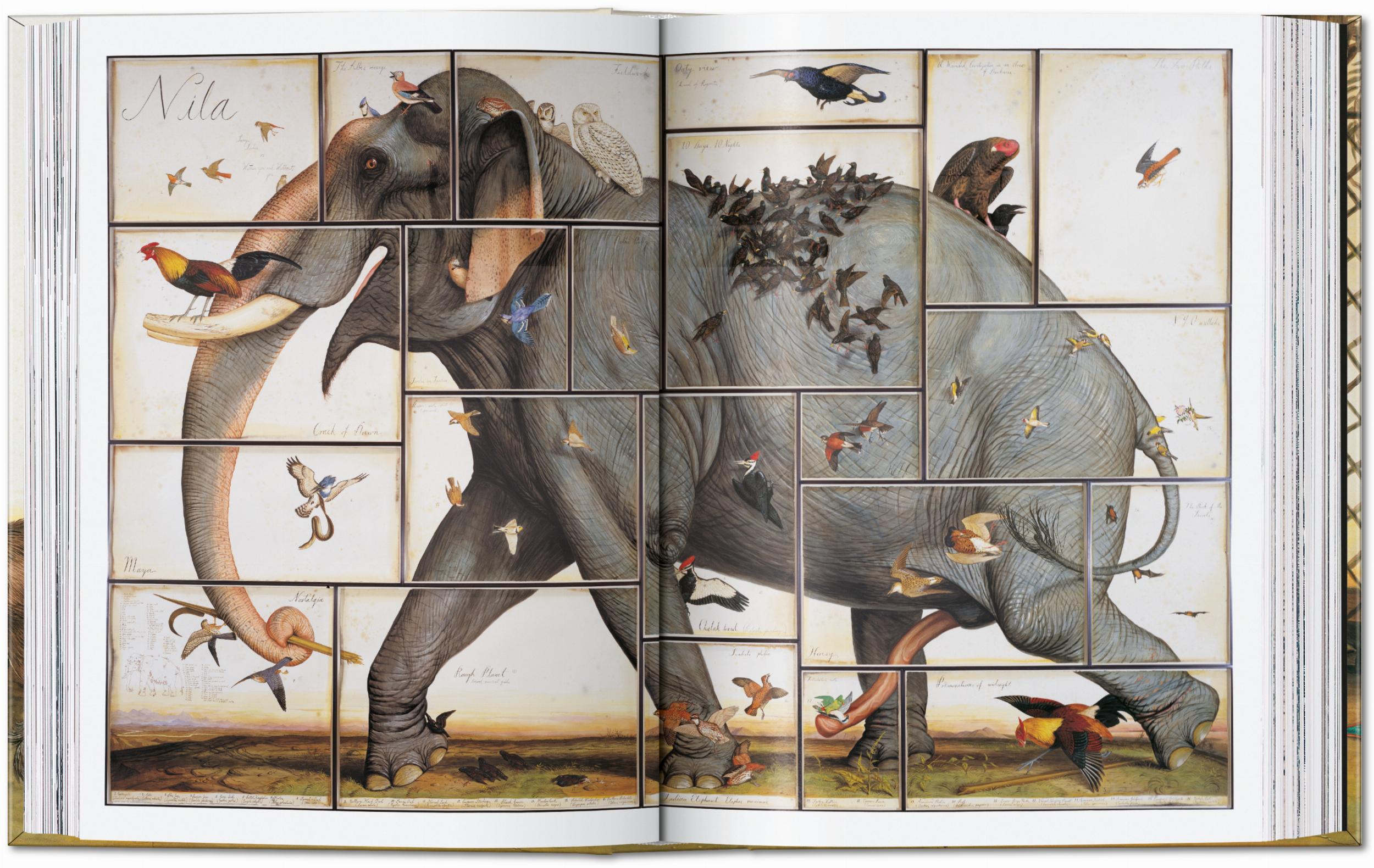 Taschen-Walton Ford. 40th Ed. (German, French, English)-Art-Black-Deal-Outlet-by-ARCHIVIST