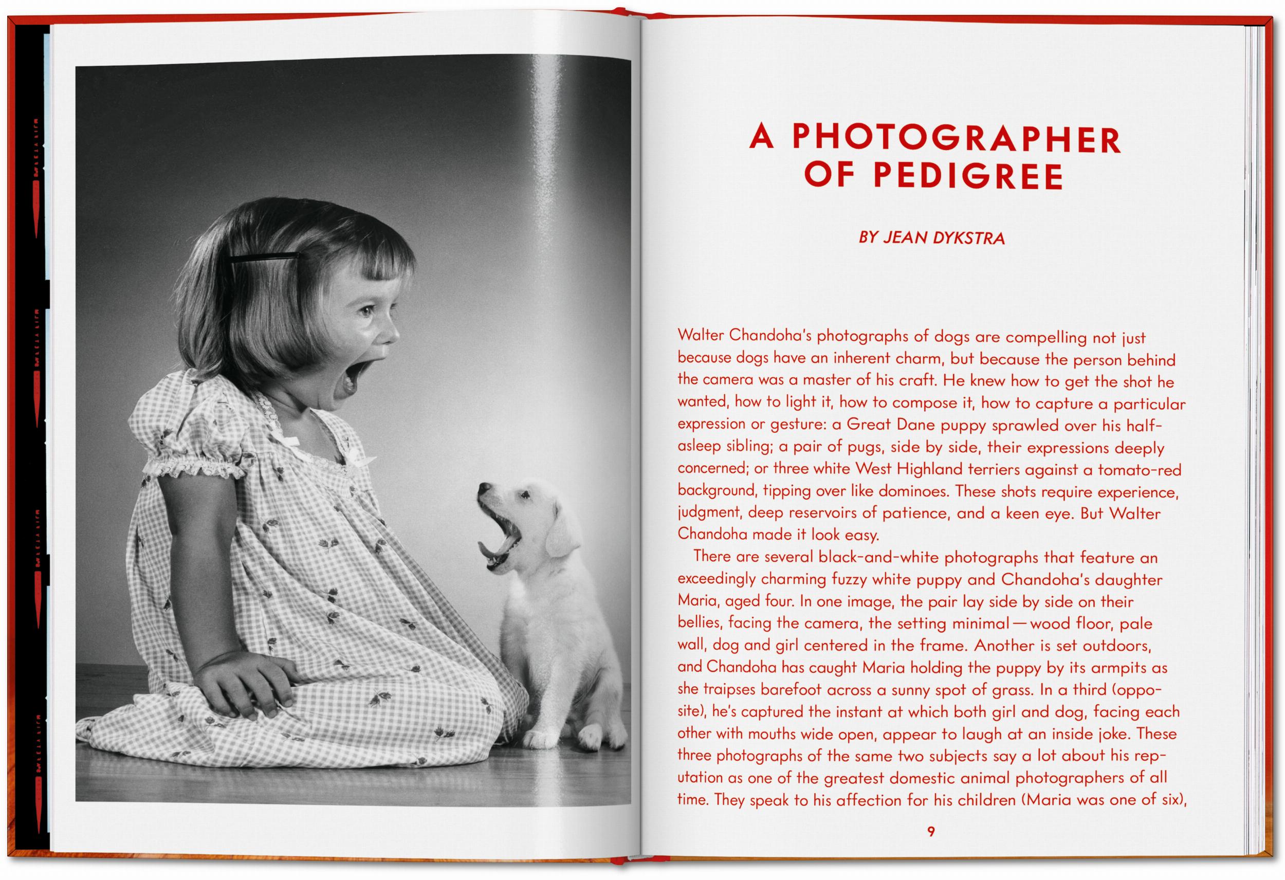 Taschen-Walter Chandoha. Dogs. Photographs 1941–1991 (English)-Photography-Black-Deal-Outlet-by-ARCHIVIST