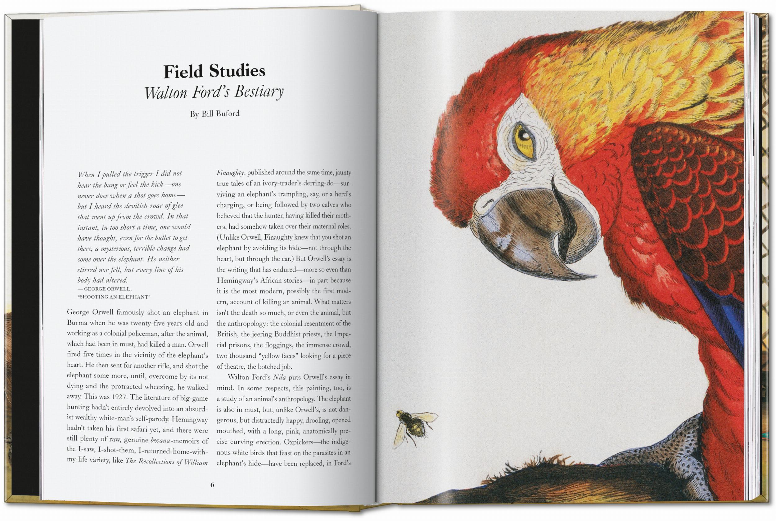 Taschen-Walton Ford. 40th Ed. (German, French, English)-Art-Black-Deal-Outlet-by-ARCHIVIST