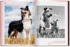 Taschen-Walter Chandoha. Dogs. Photographs 1941–1991 (English)-Photography-Black-Deal-Outlet-by-ARCHIVIST