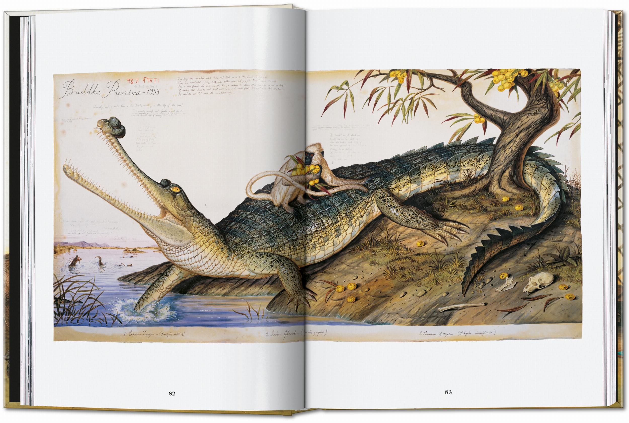 Taschen-Walton Ford. 40th Ed. (German, French, English)-Art-Black-Deal-Outlet-by-ARCHIVIST