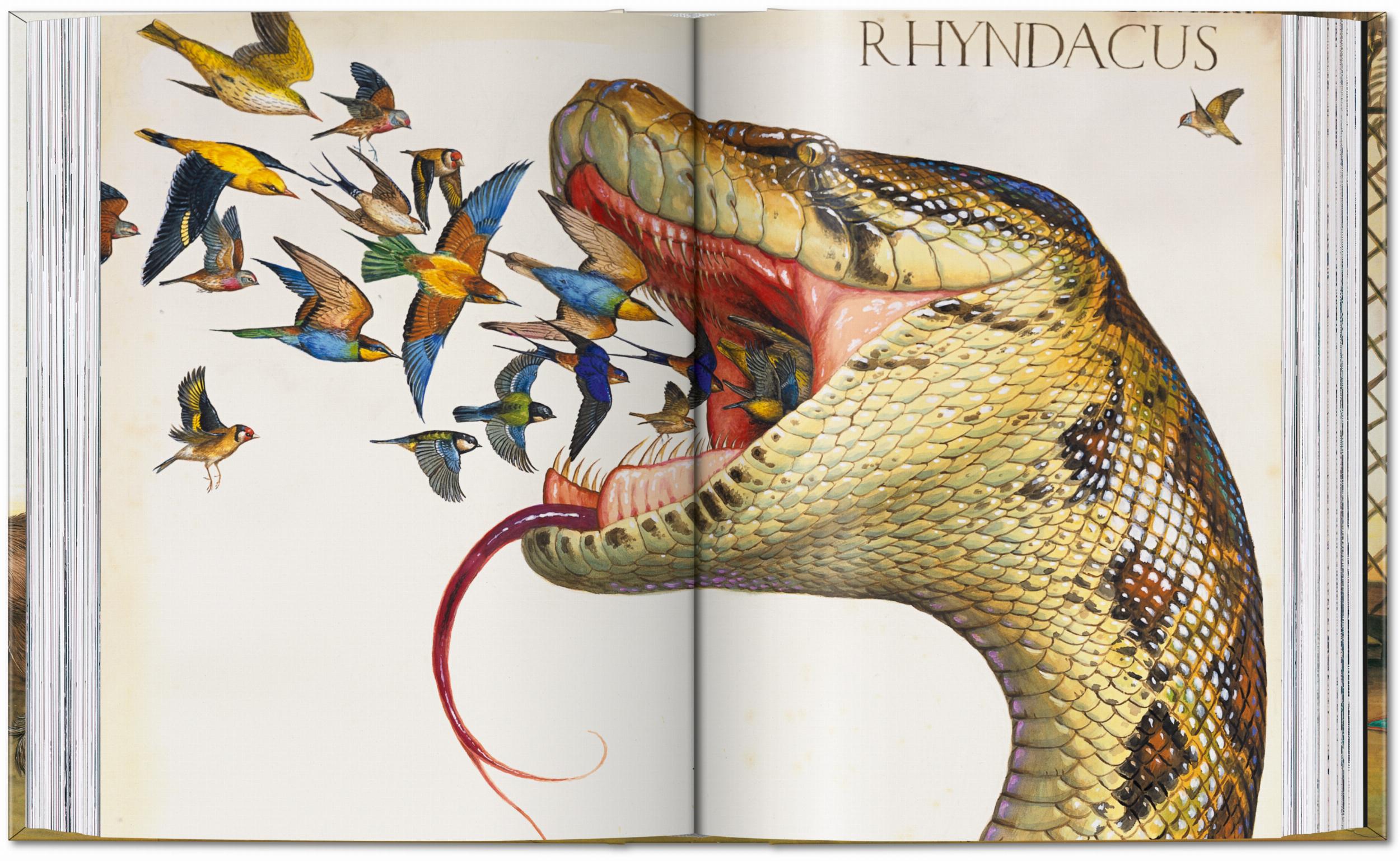 Taschen-Walton Ford. 40th Ed. (German, French, English)-Art-Black-Deal-Outlet-by-ARCHIVIST